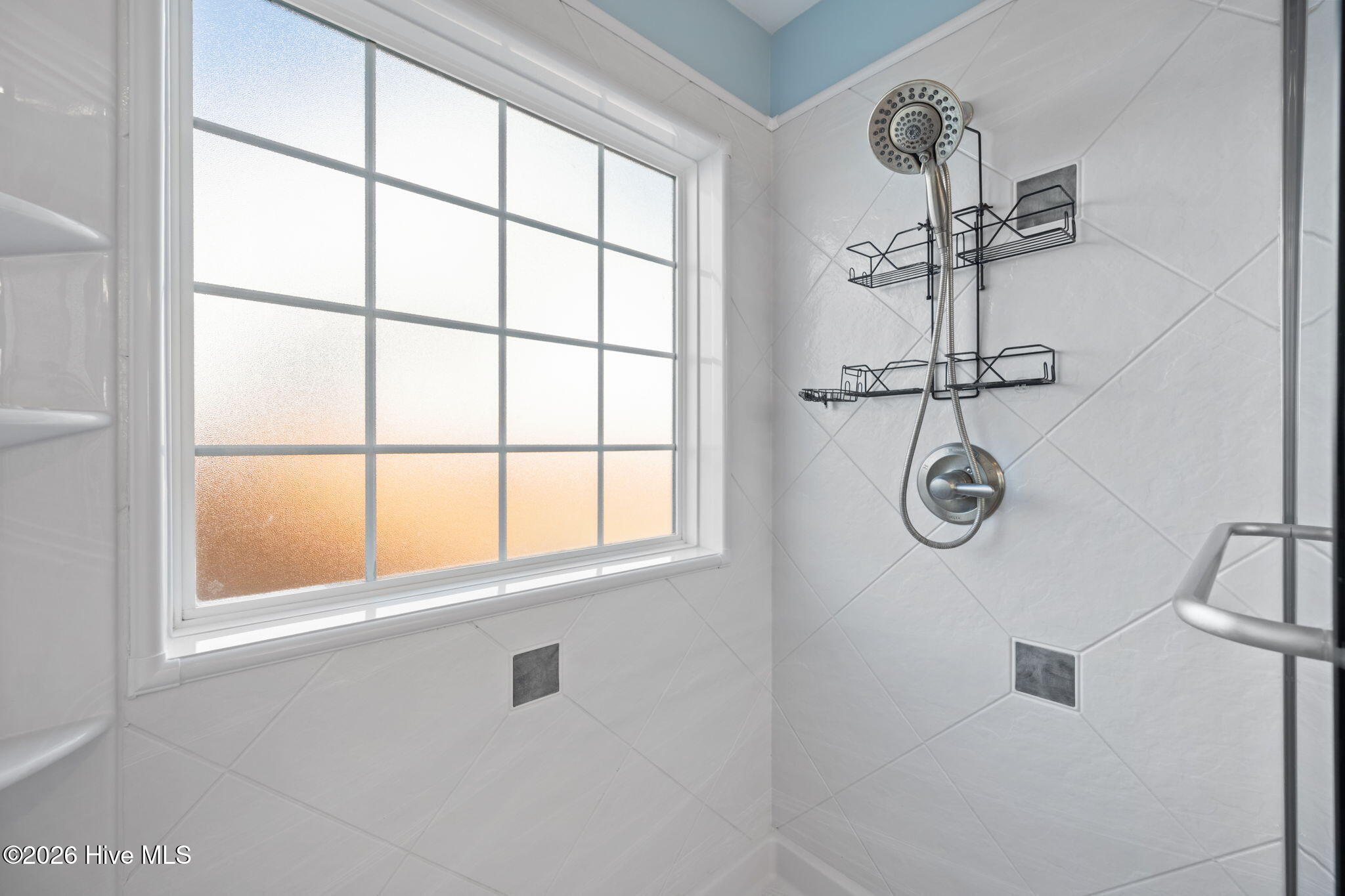 100561377 | Photo 24