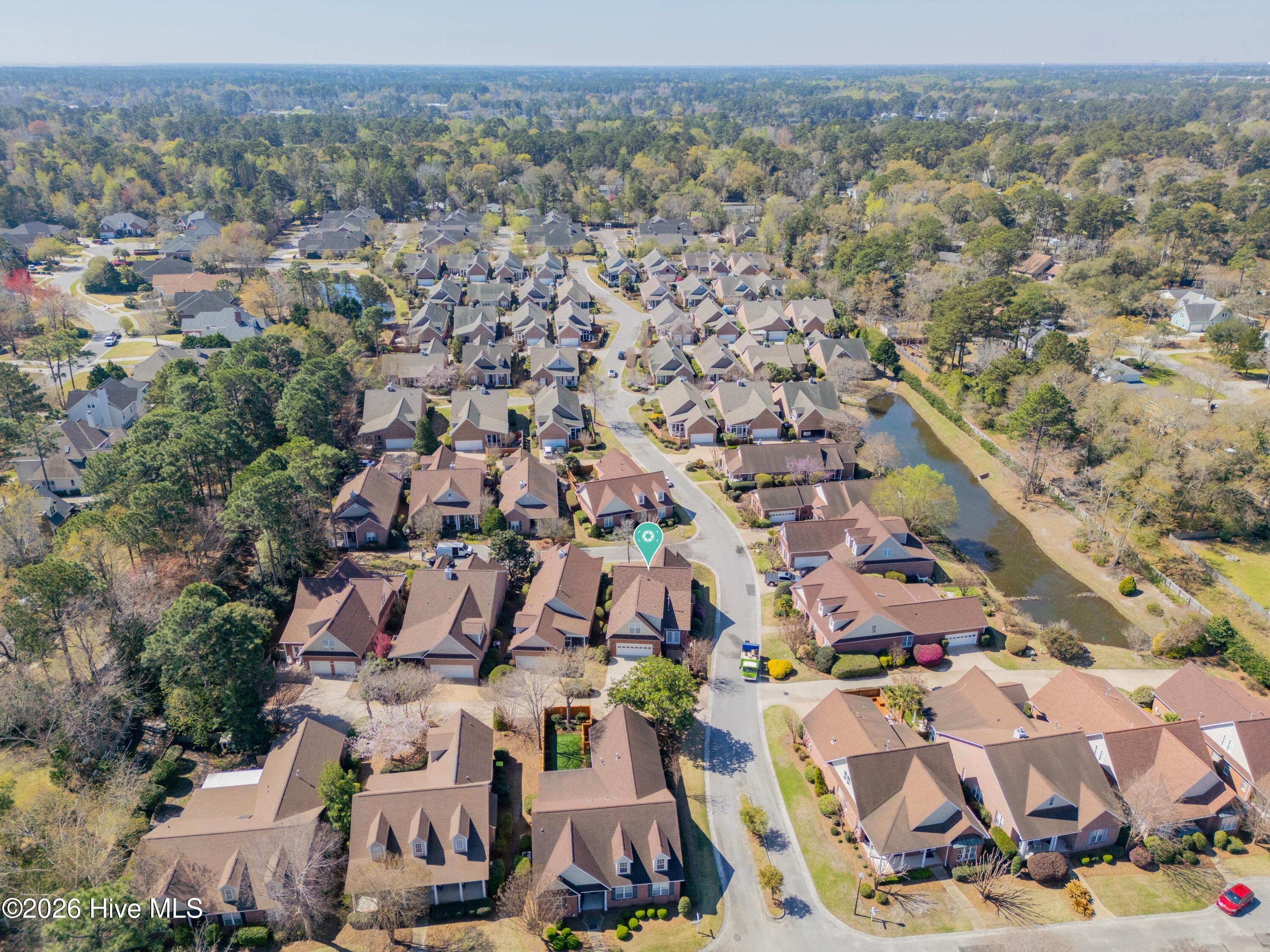 100561367 | Photo 34