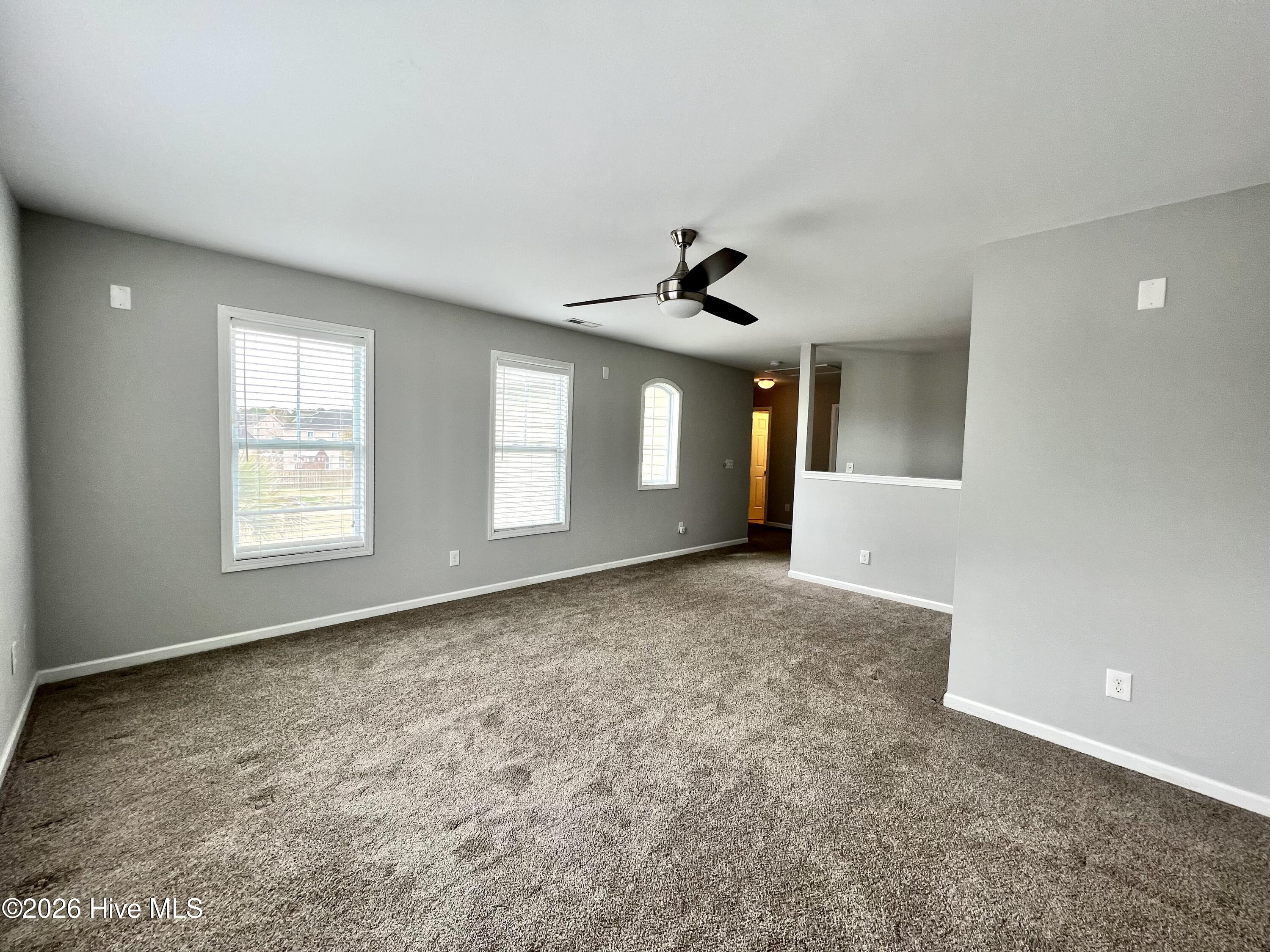 100568625 | Photo 13