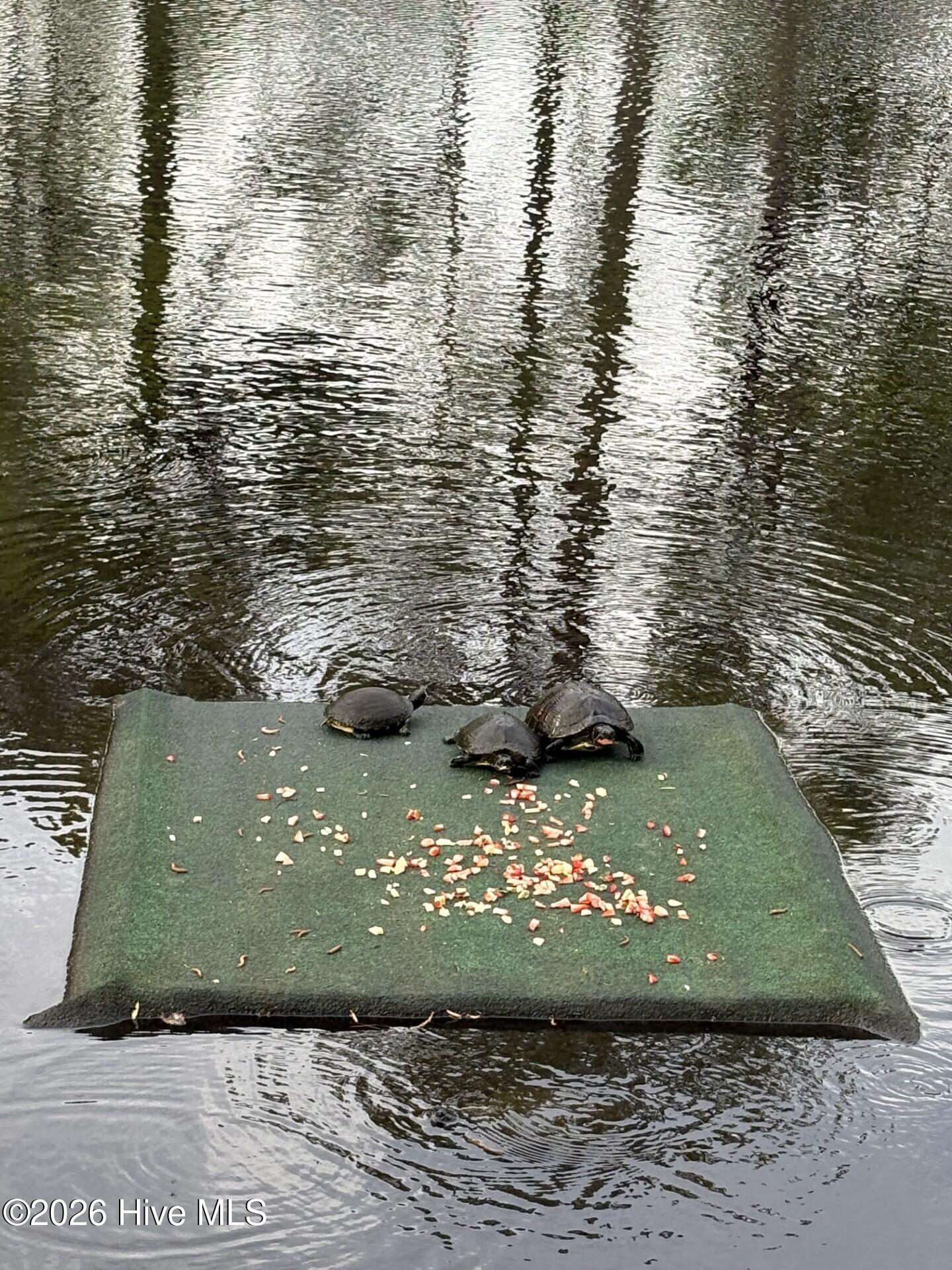 100567366 | Photo 48