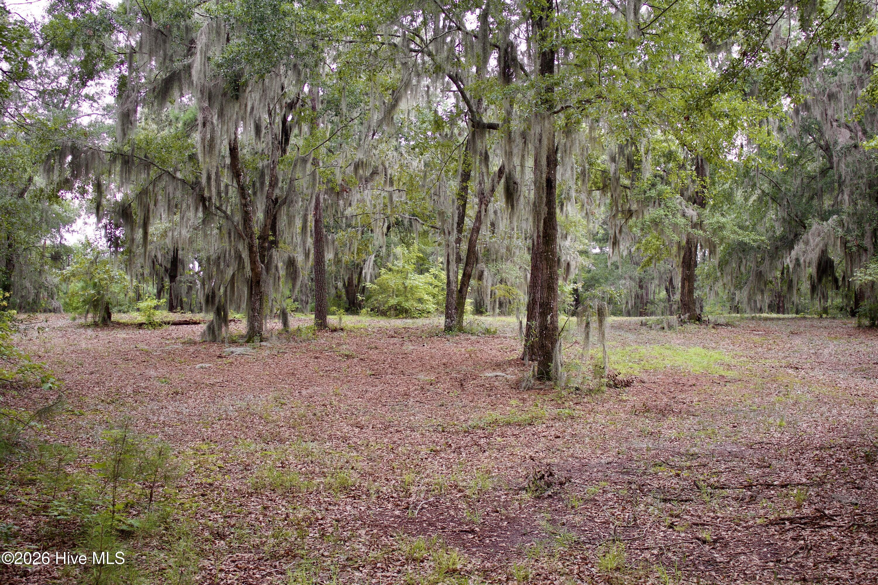 385 Sand Ridge Road,New Bern