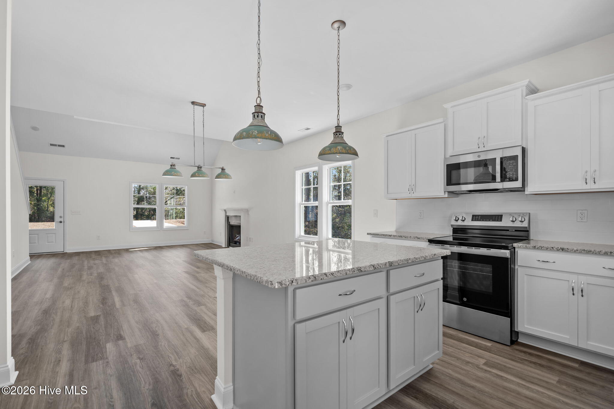 100528702 | Photo 18