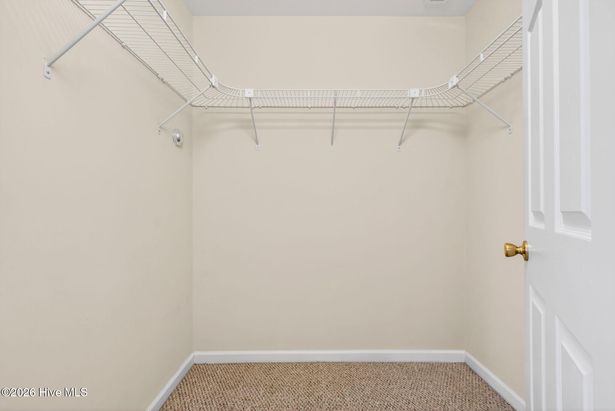 100558532 | Photo 35