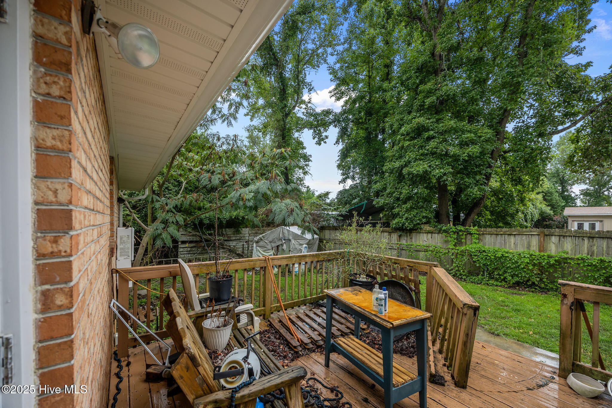 100566802 | Photo 43