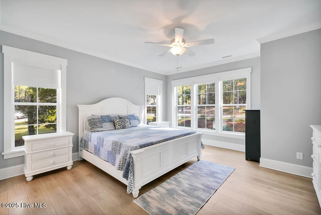 100537536 | Photo 10