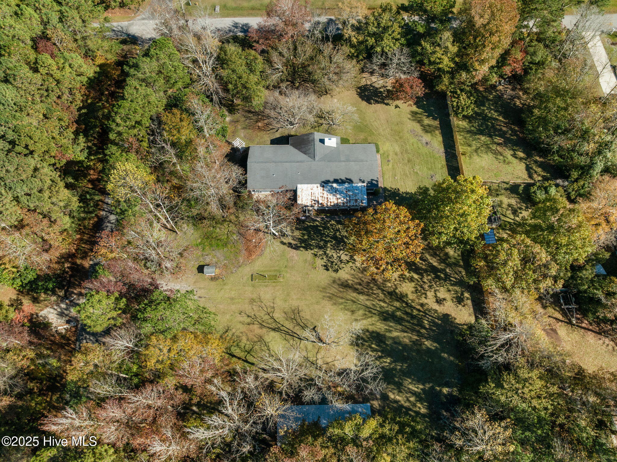 100541666 | Photo 60