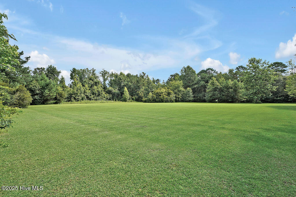 100521494 | Photo 61