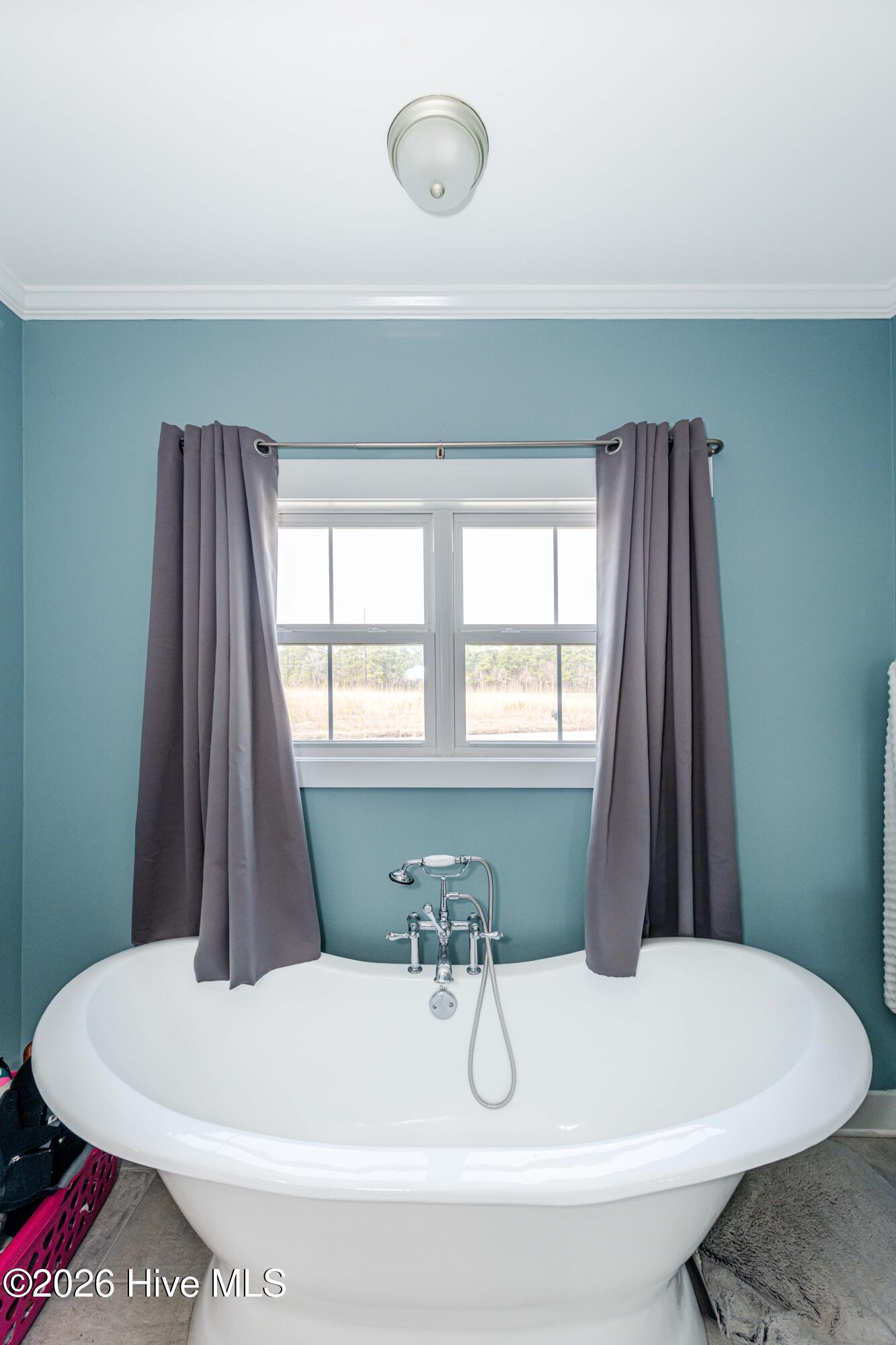 100559174 | Photo 44