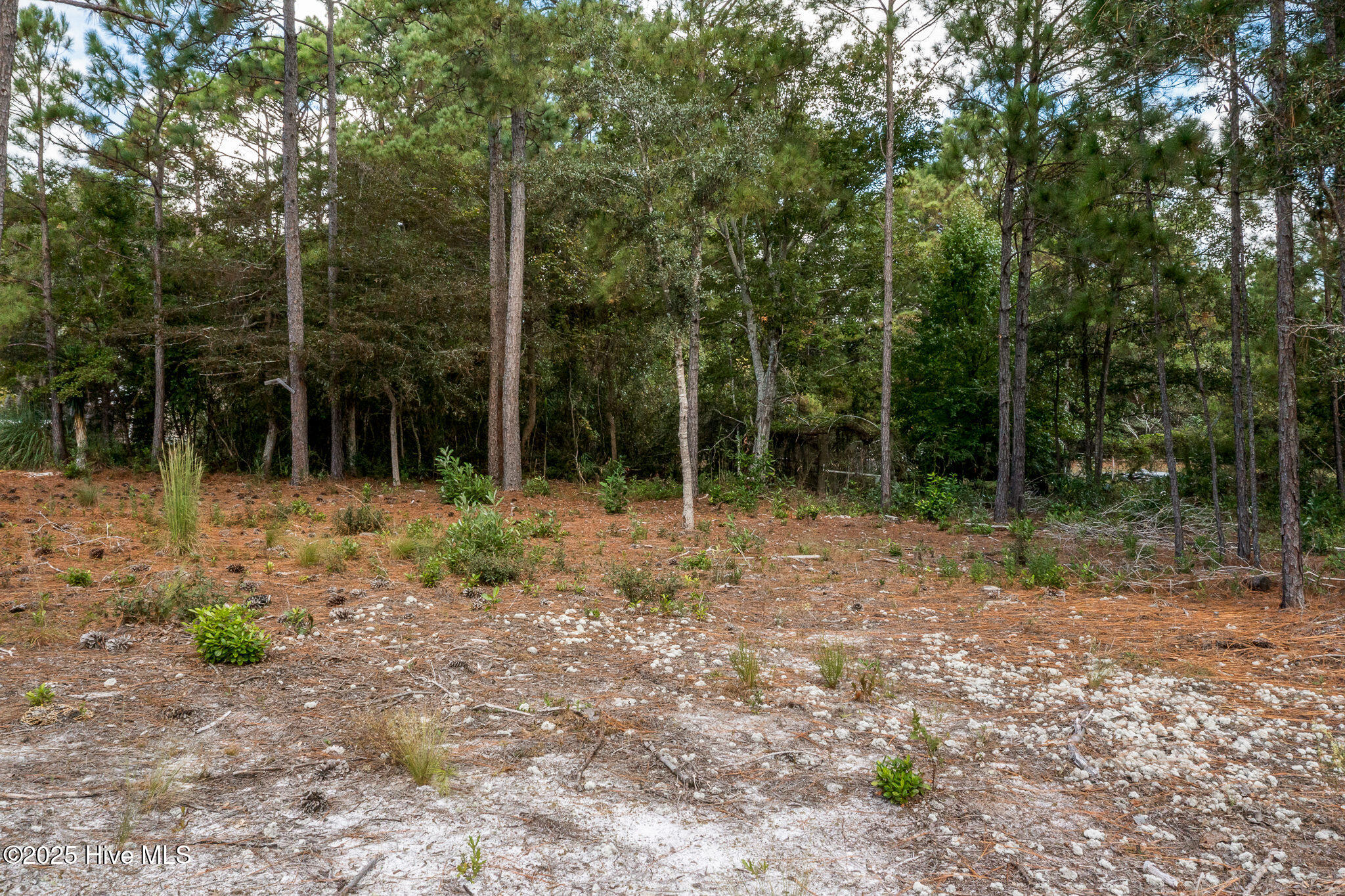 100534837 | Photo 10