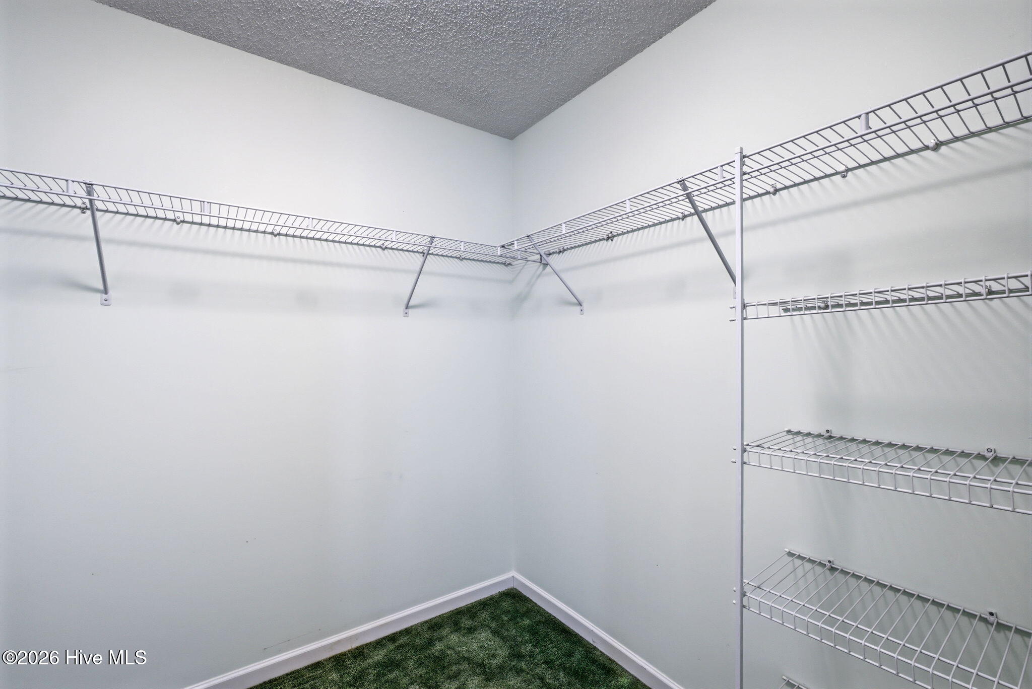 100564693 | Photo 24