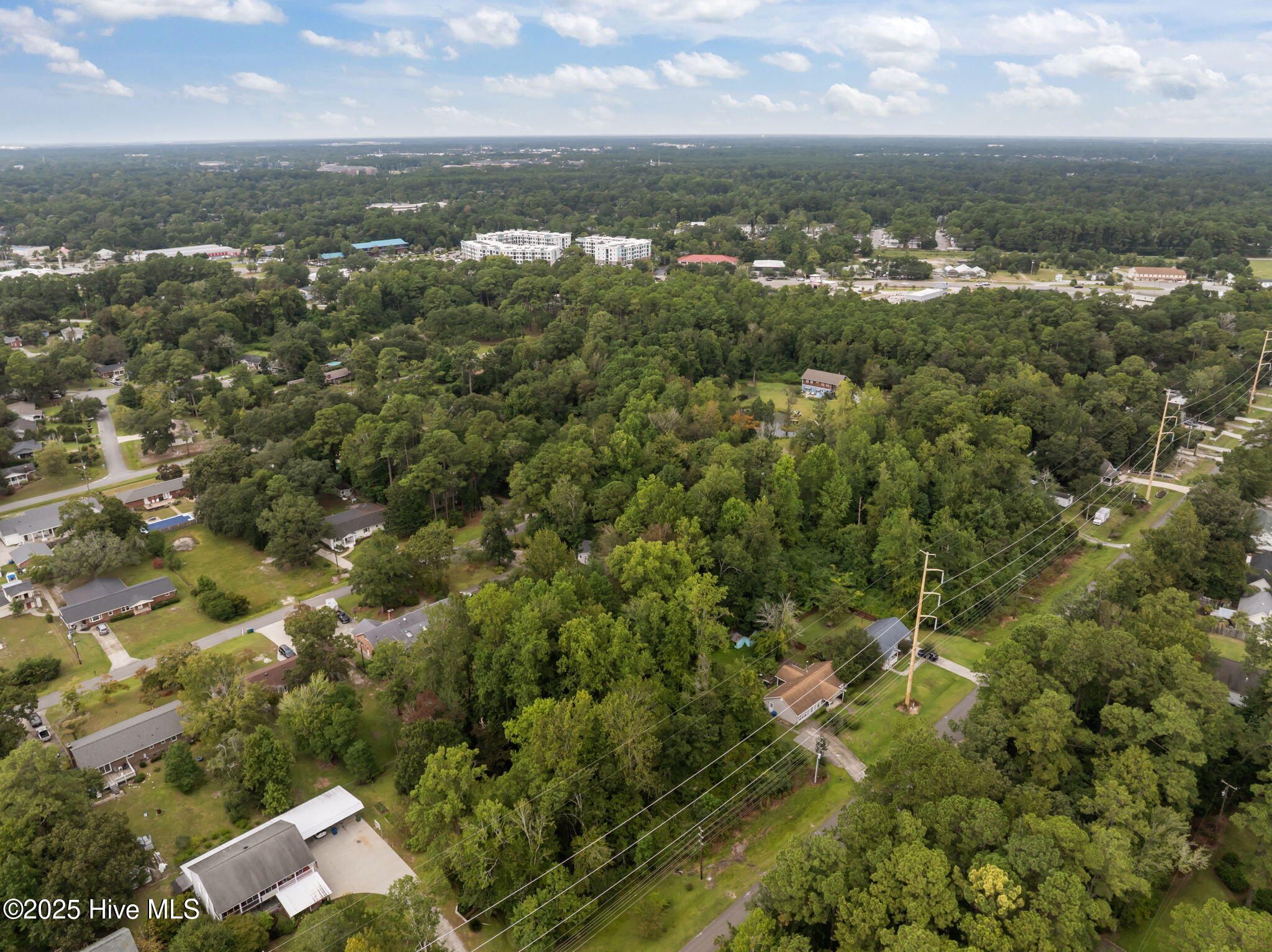 100529798 | Photo 17