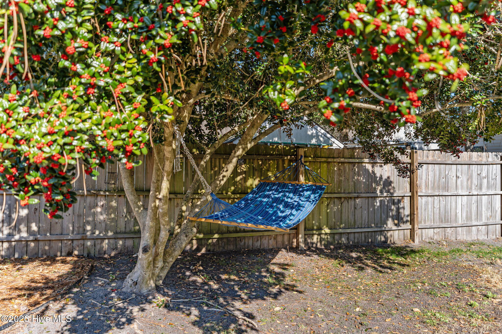 100557804 | Photo 42