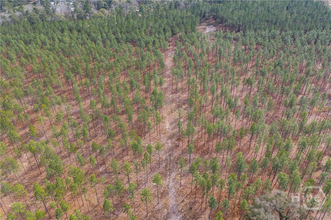 1000 Old River Road S, Brooklet, GA, 30415