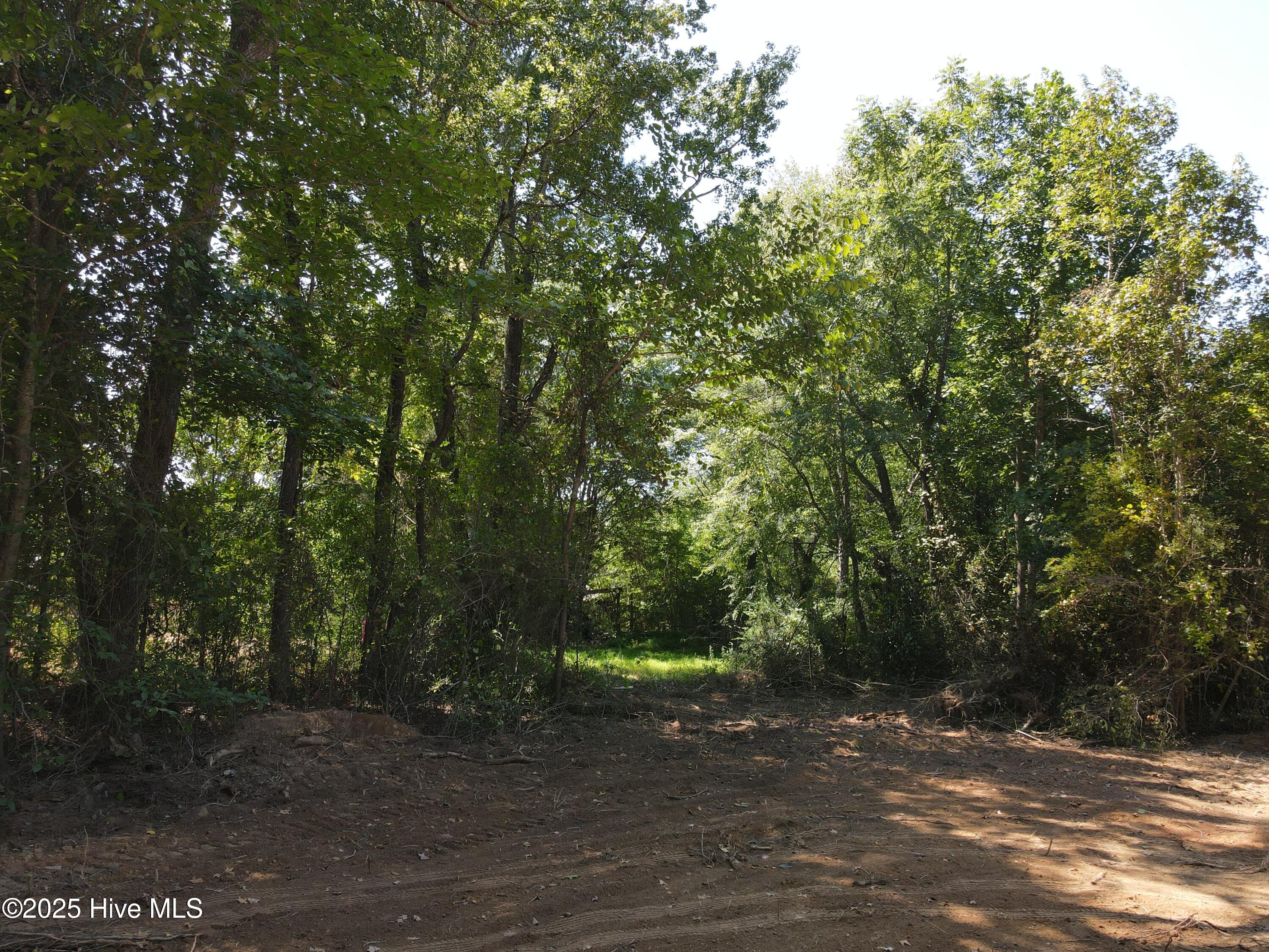 4th image of 00 Alert Rd, Louisburg, NC 27549 | MLS# 100598662