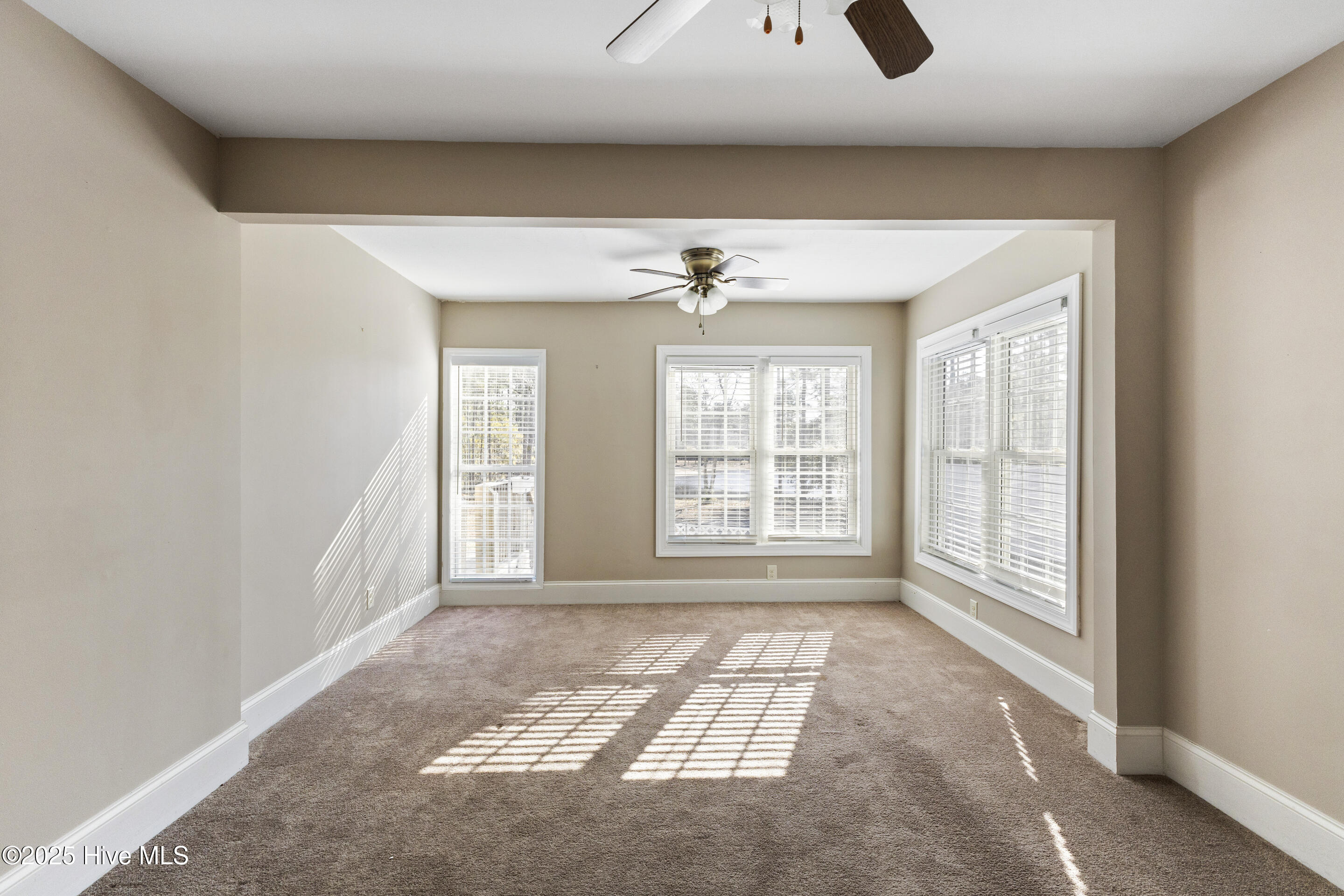 100484039 | Photo 26