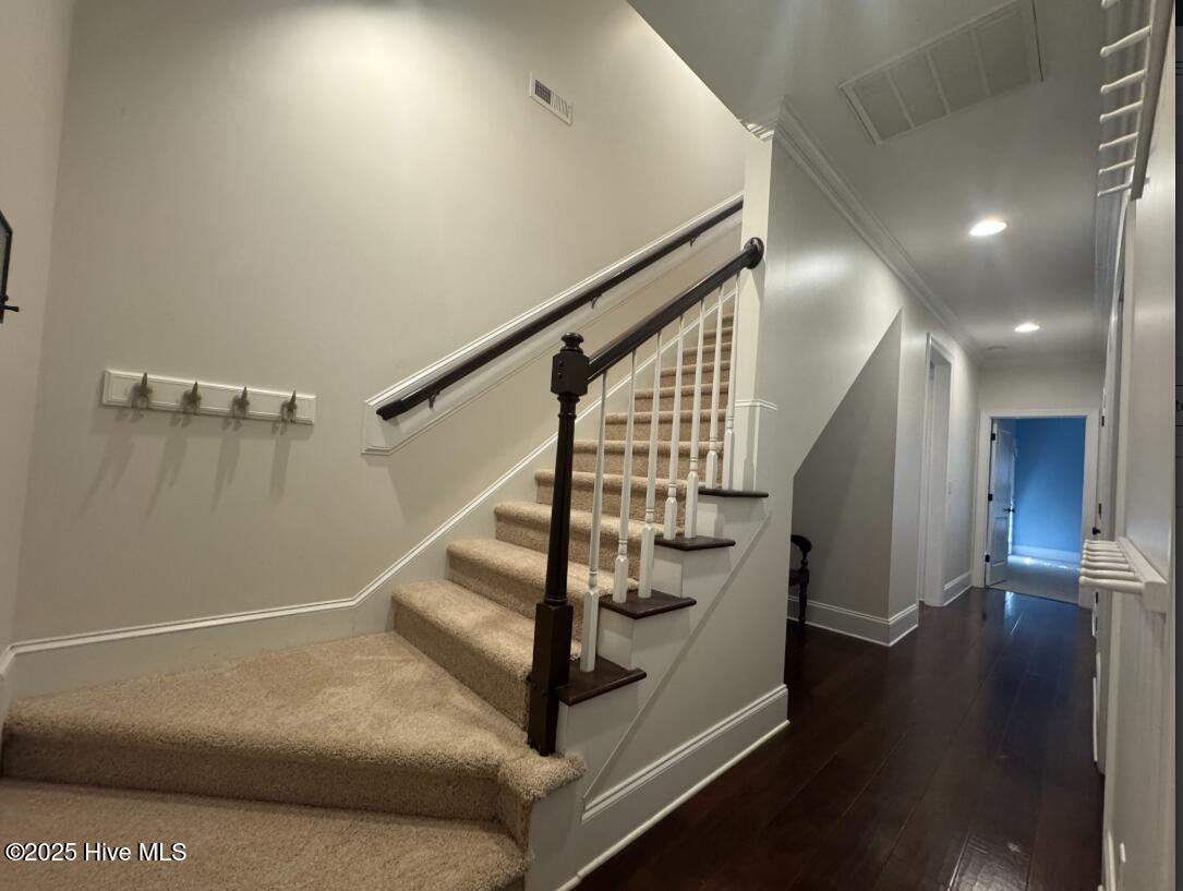 100537320 | Photo 14