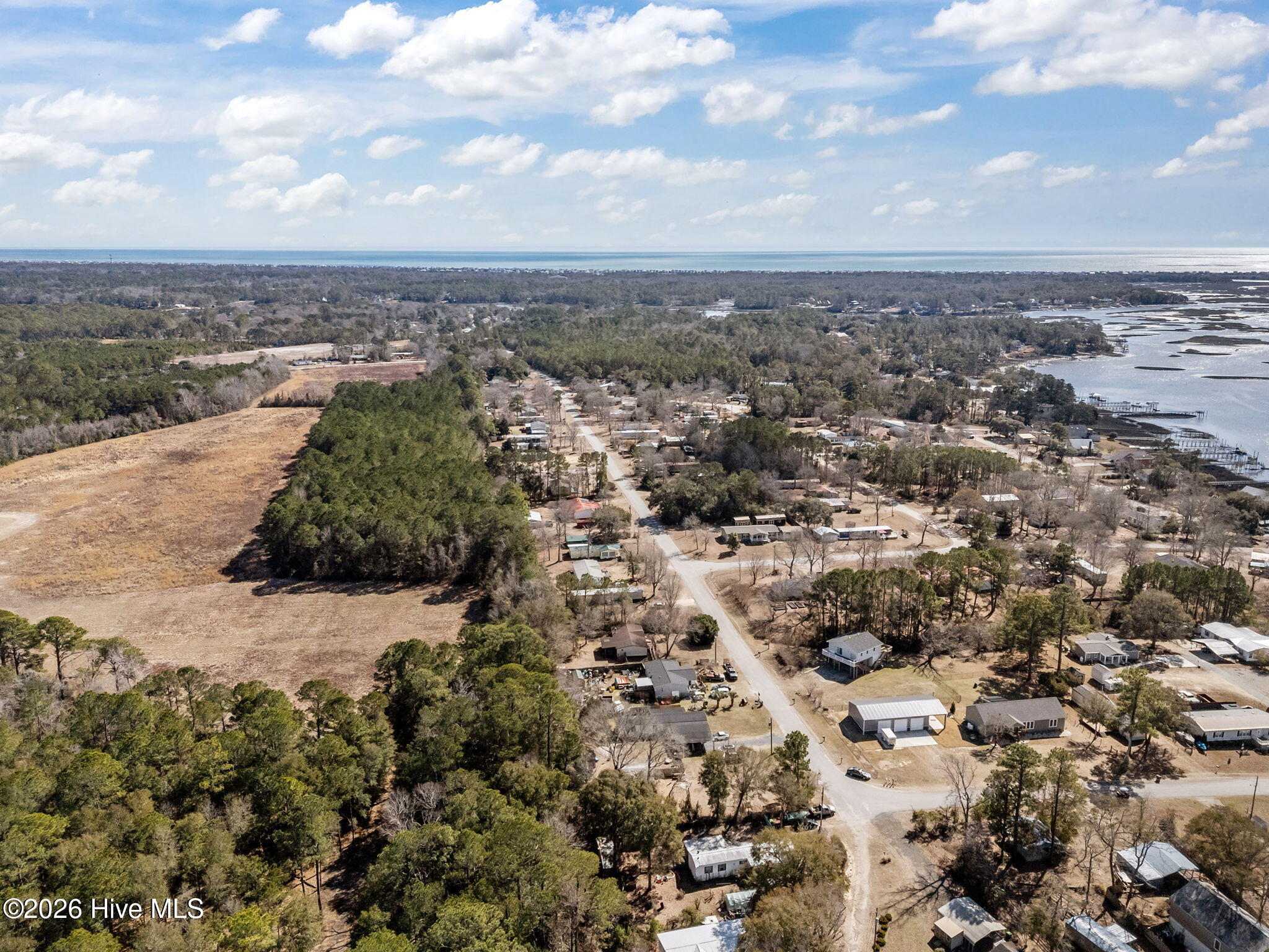 100555890 | Photo 47