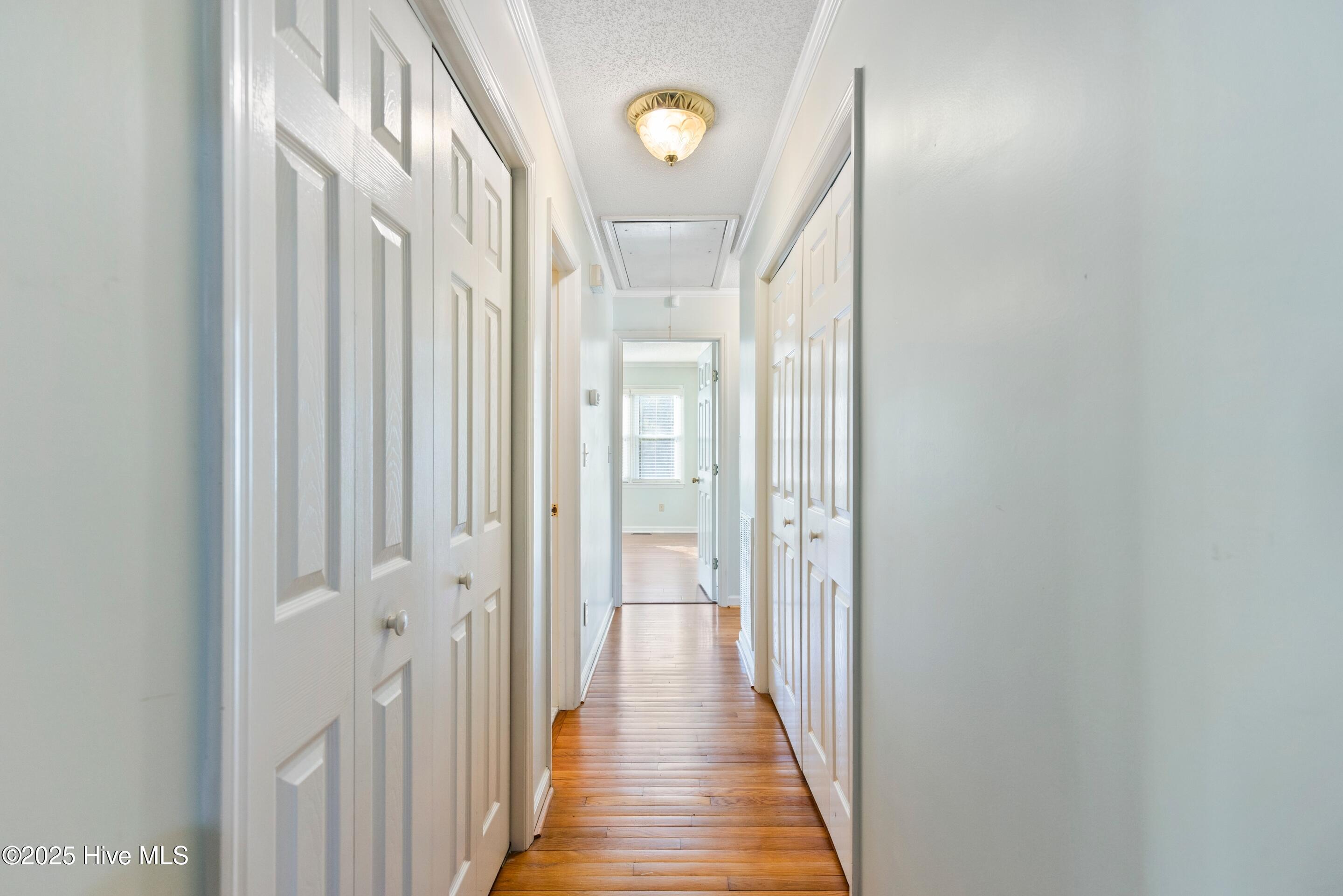 100540586 | Photo 28