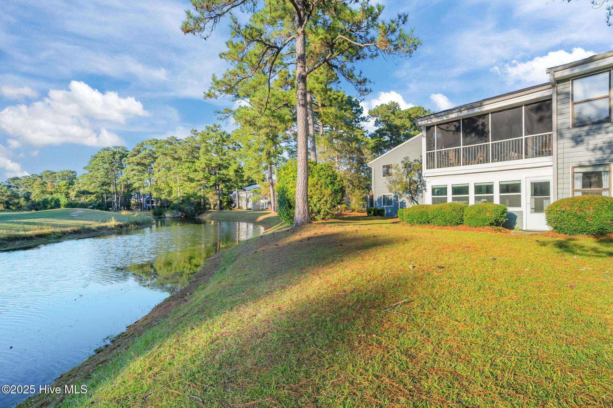 100537179 | Photo 48