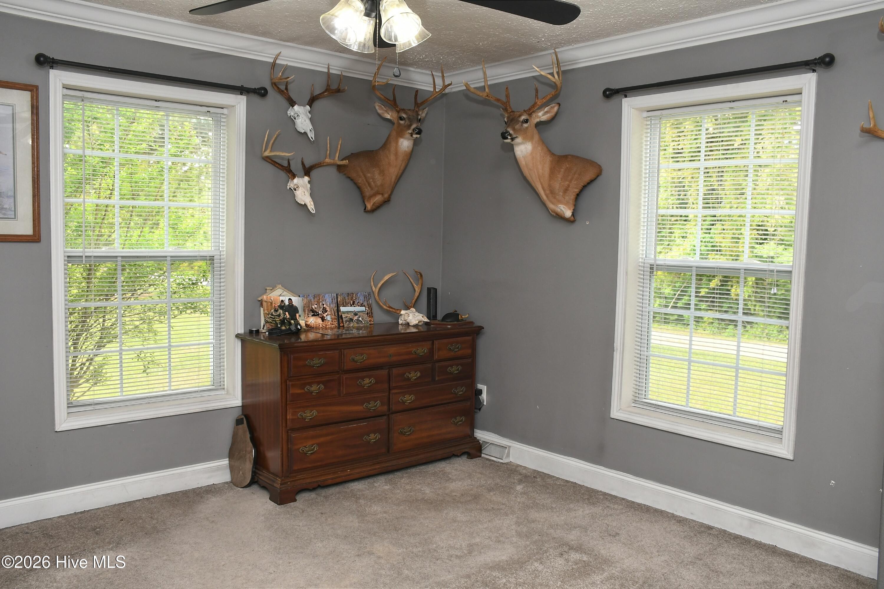 100565846 | Photo 18