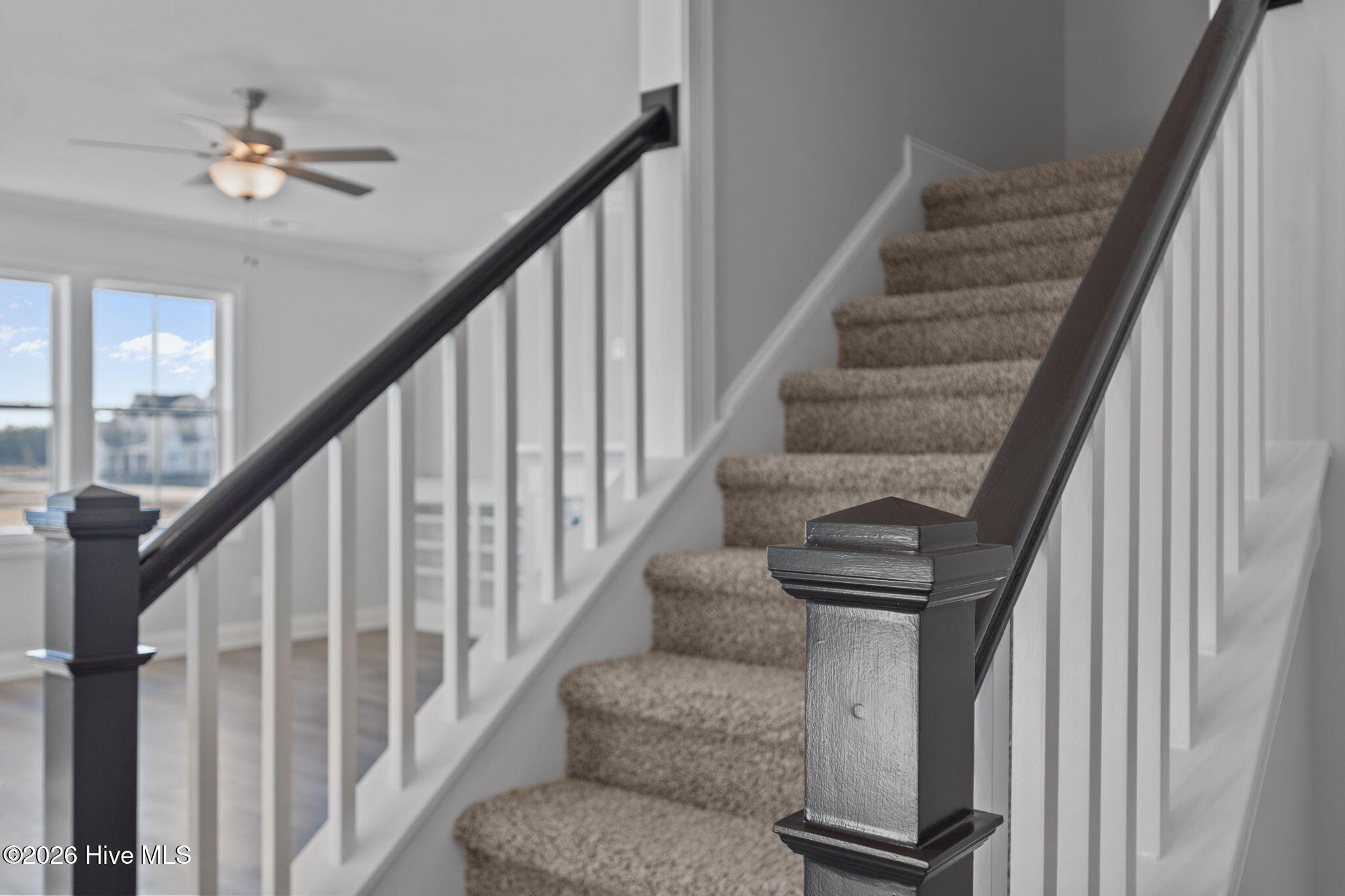 100566681 | Photo 58