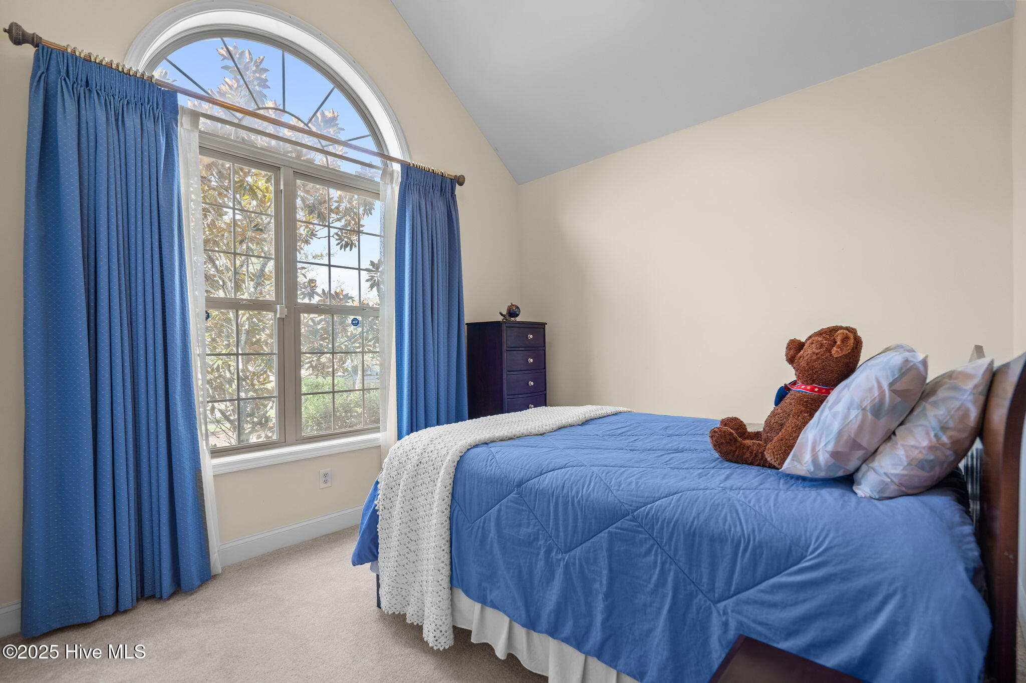 100525755 | Photo 28