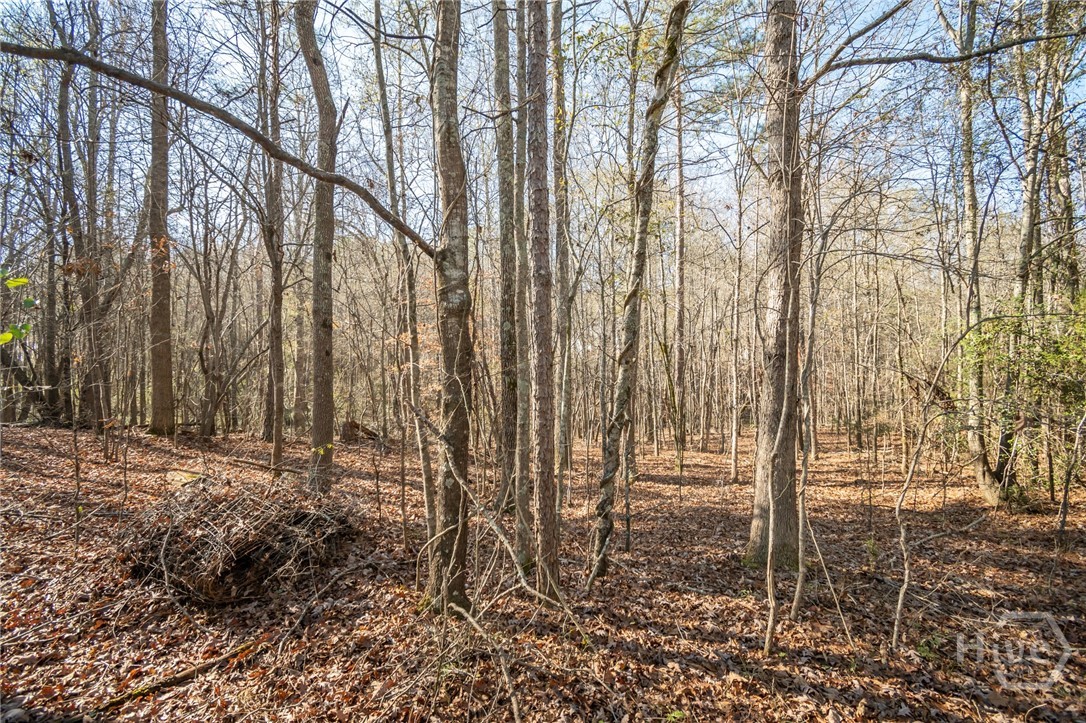 Homes for sale in Jefferson, GA | 0 Lavista Rd, Jefferson, GA 30549 | MLS# CM1021467