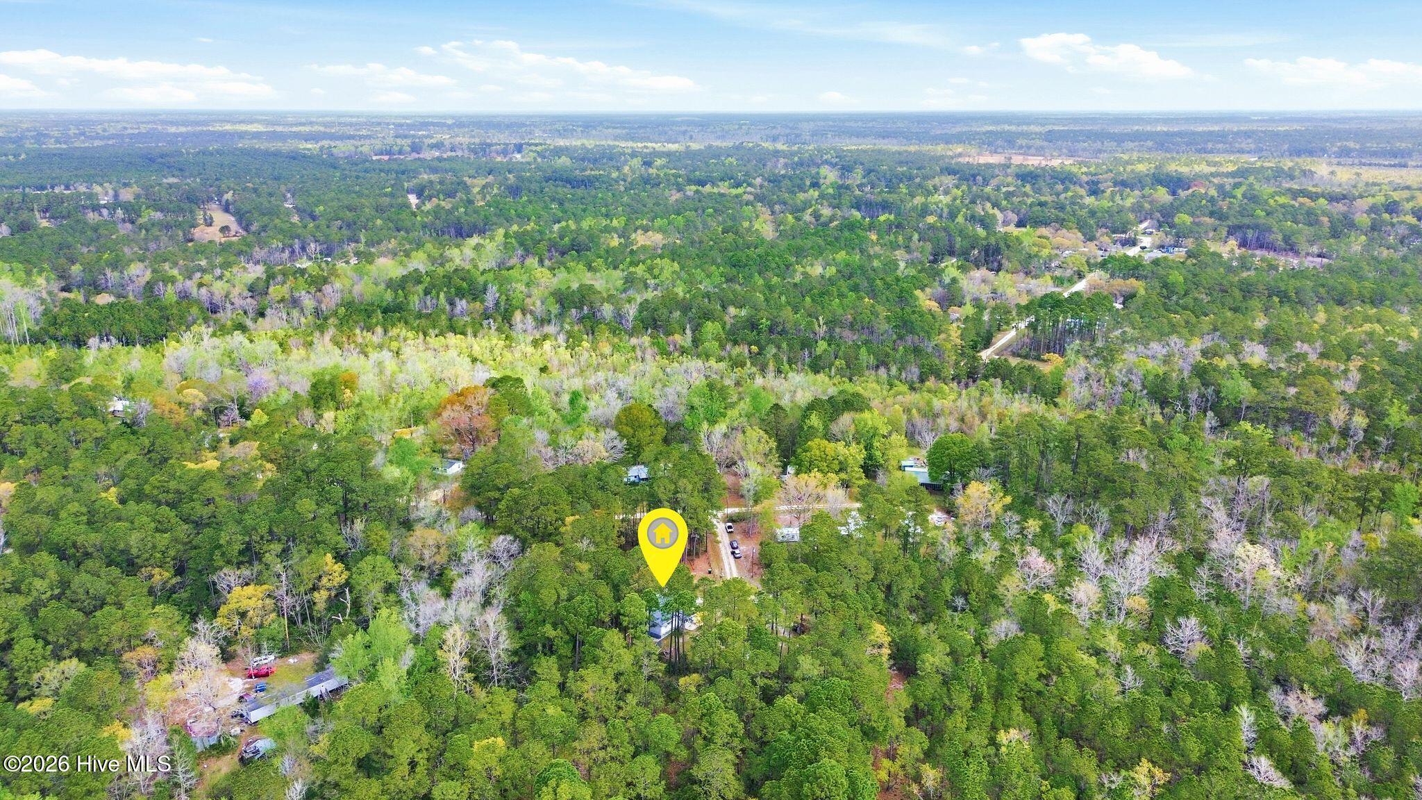 100565168 | Photo 53