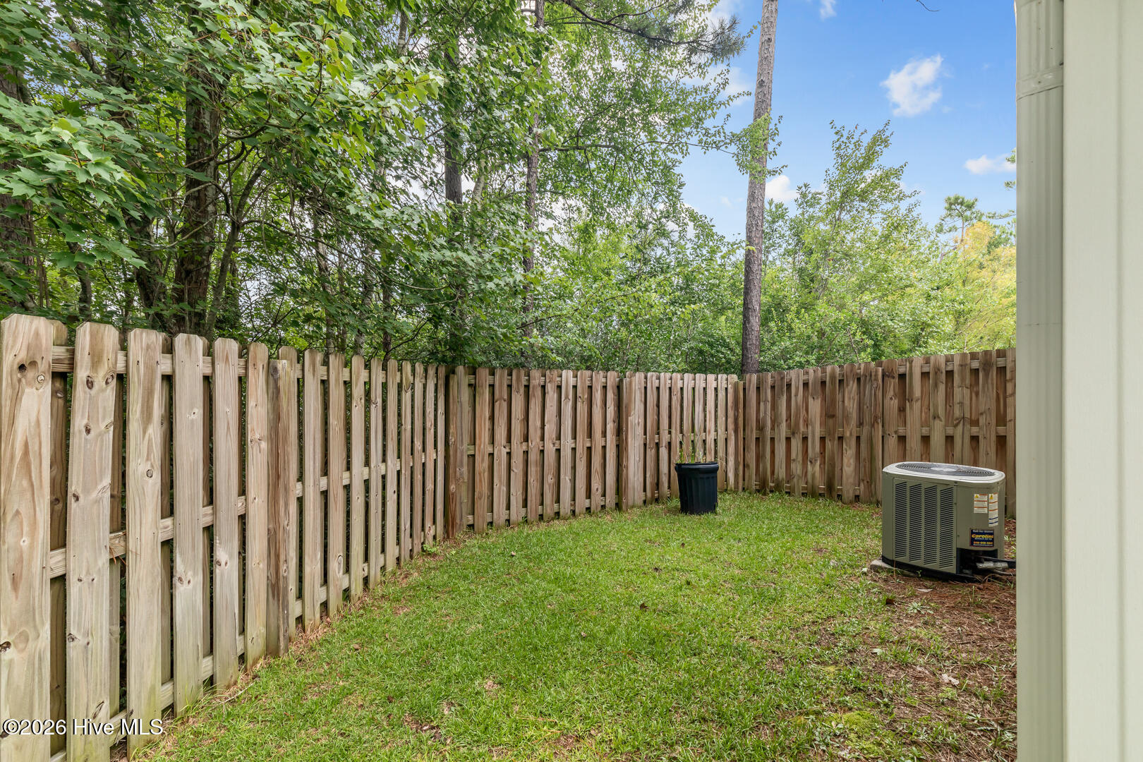 100562392 | Photo 37