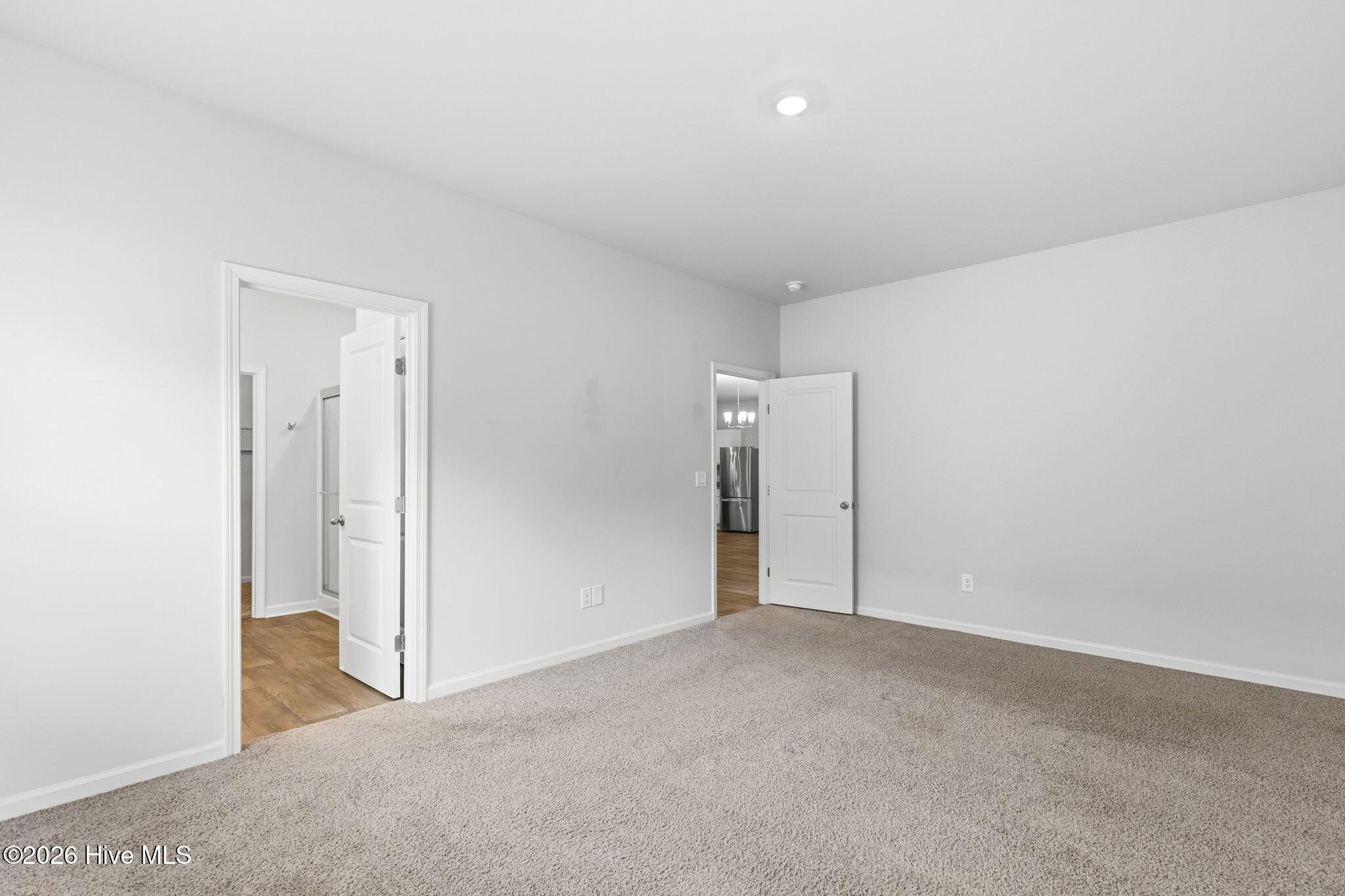 100556772 | Photo 19