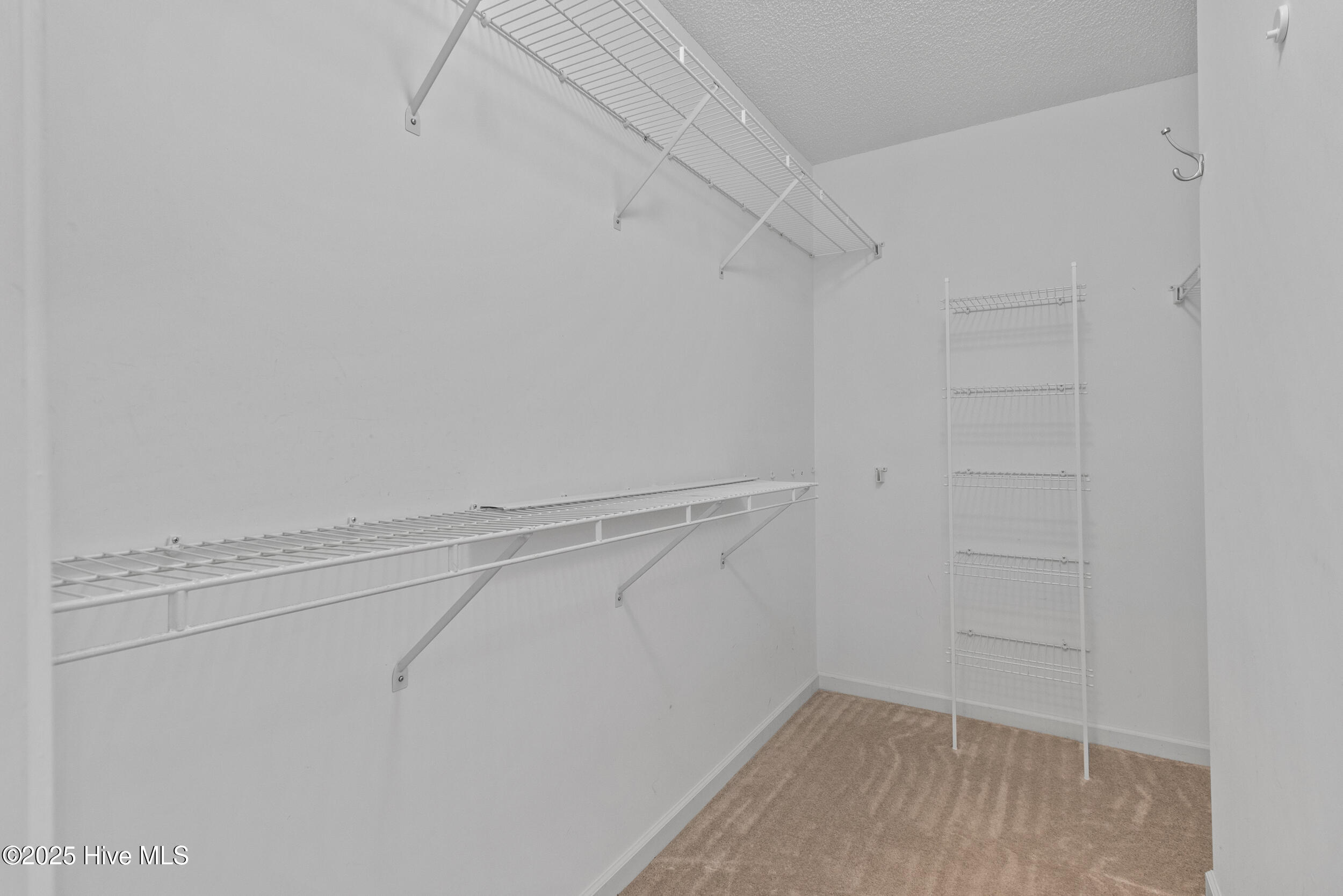 100528795 | Photo 25