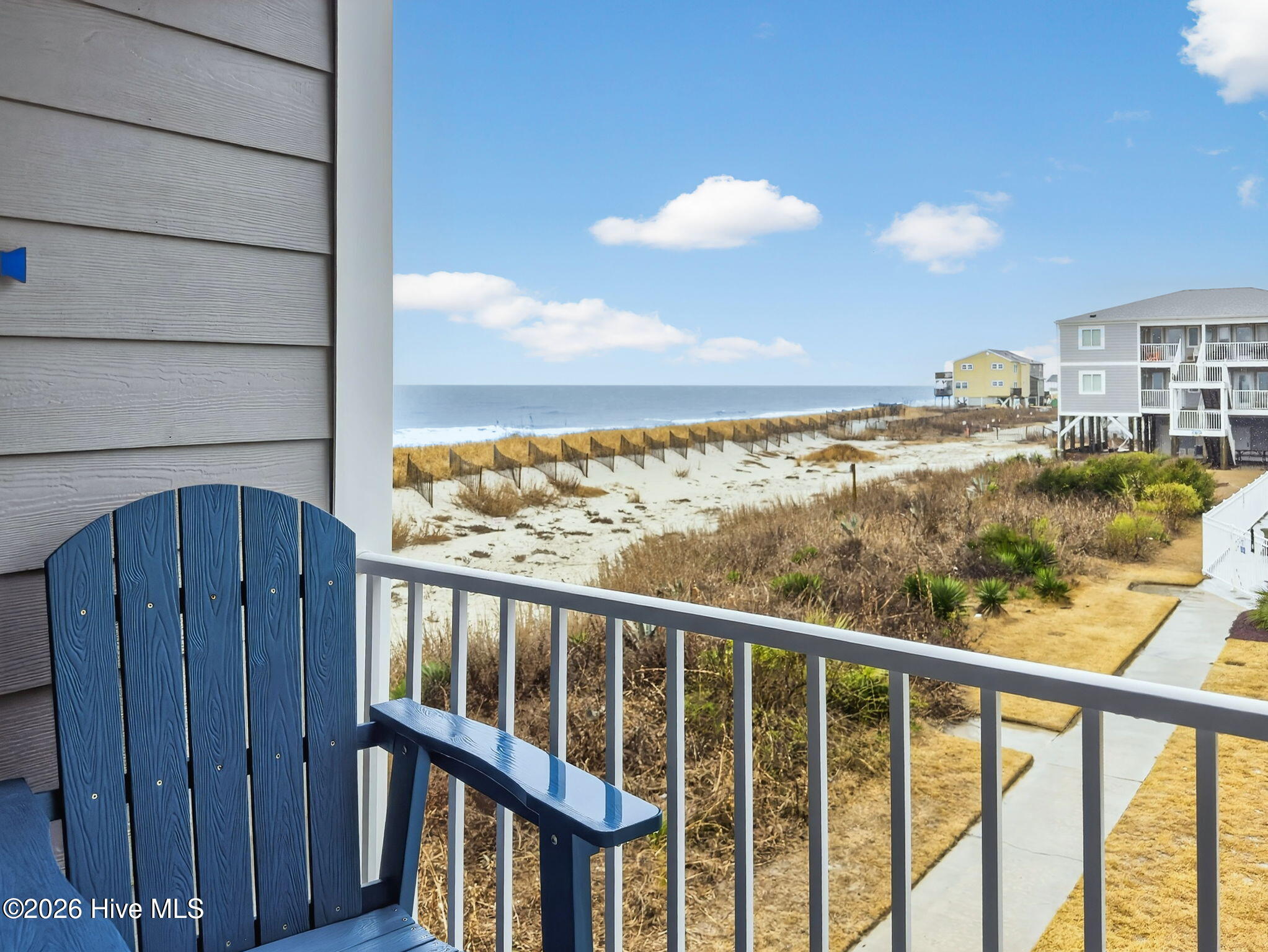 100558118 | Photo 40