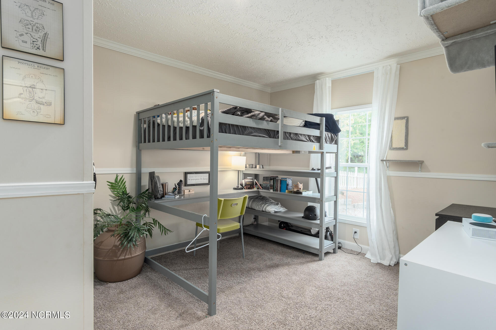 100570435 | Photo 15