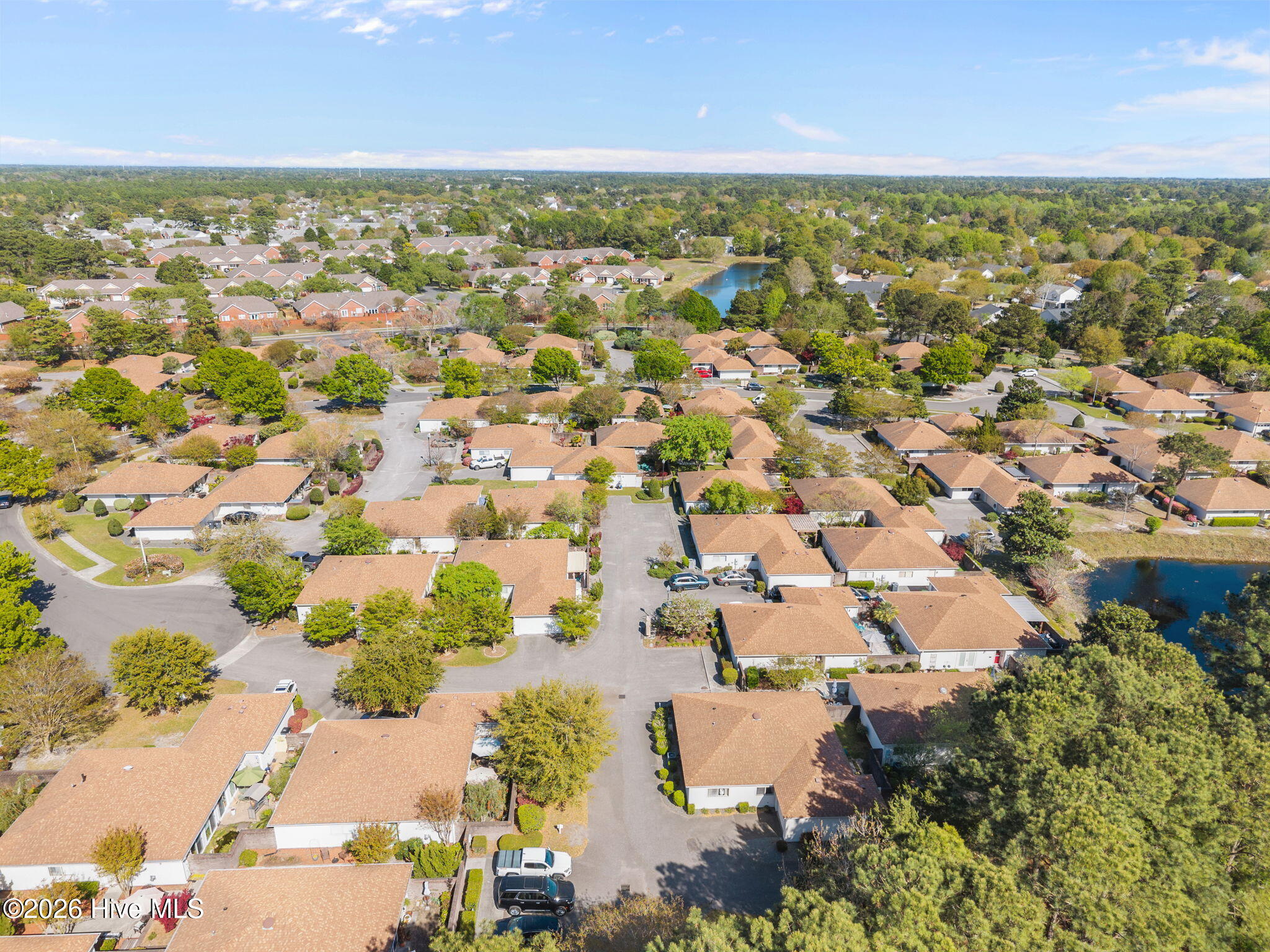 100564364 | Photo 50