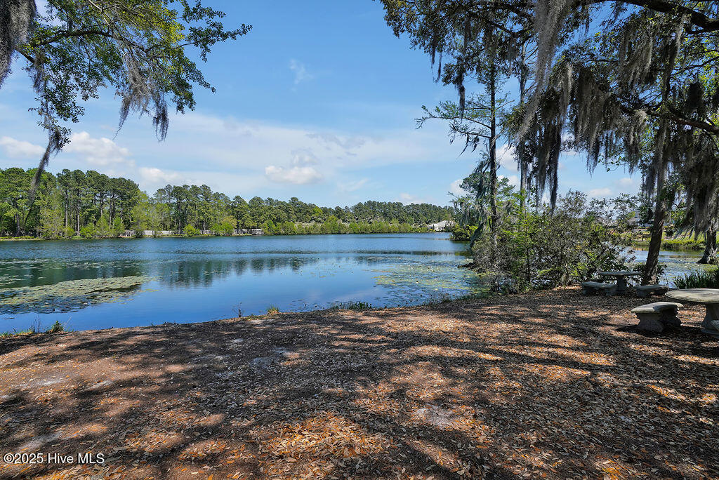 100531684 | Photo 57