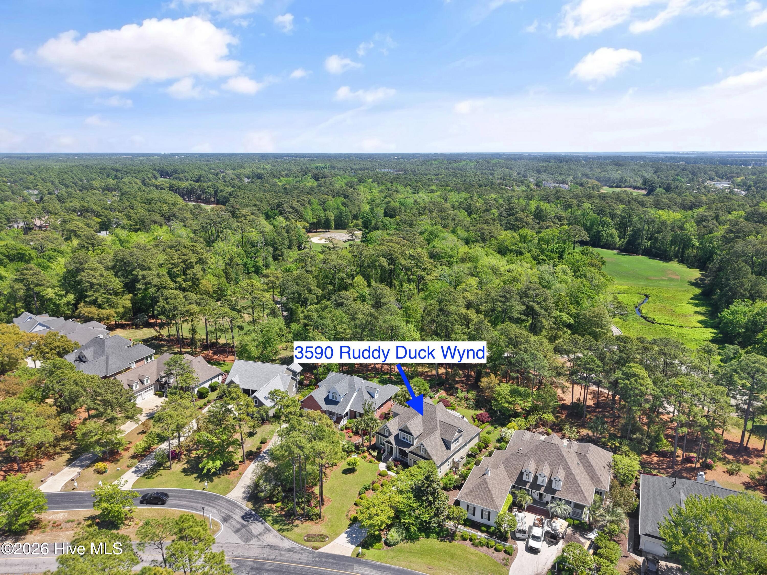 100567309 | Photo 89