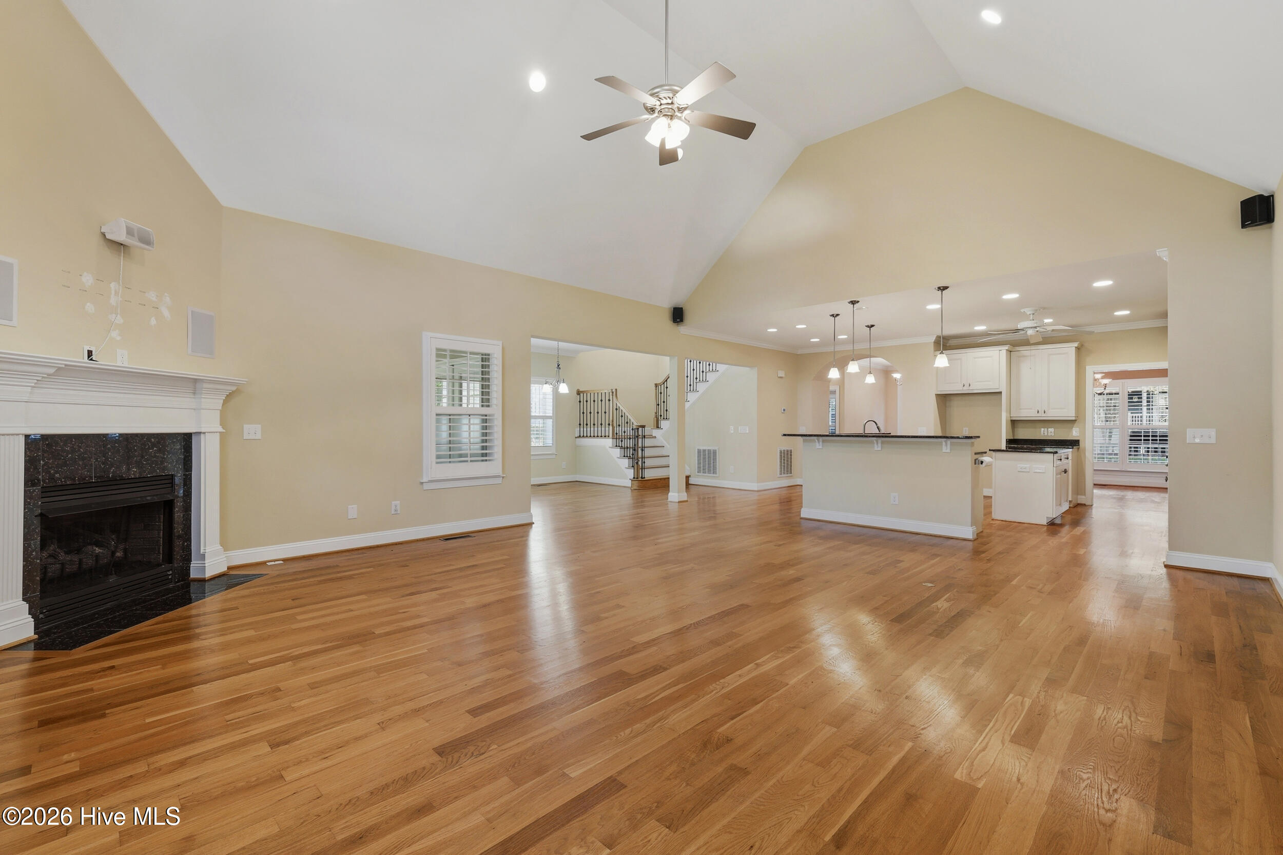 100567096 | Photo 24