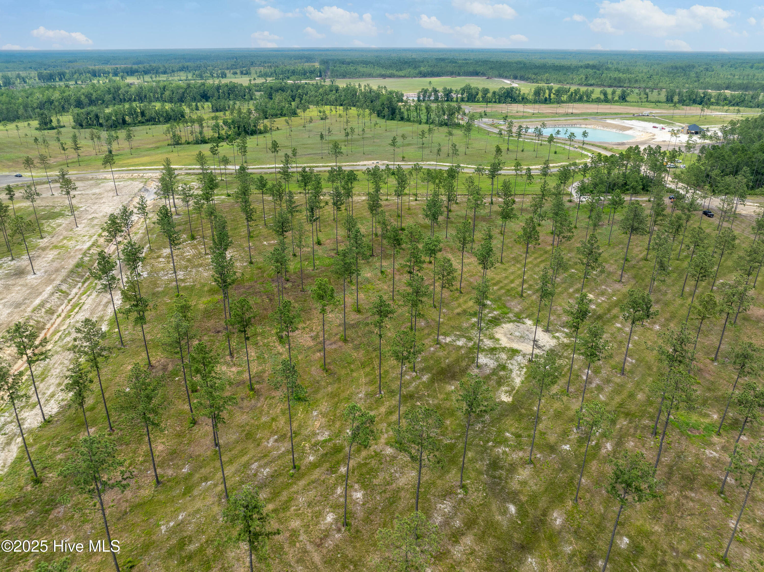 100520208 | Photo 20