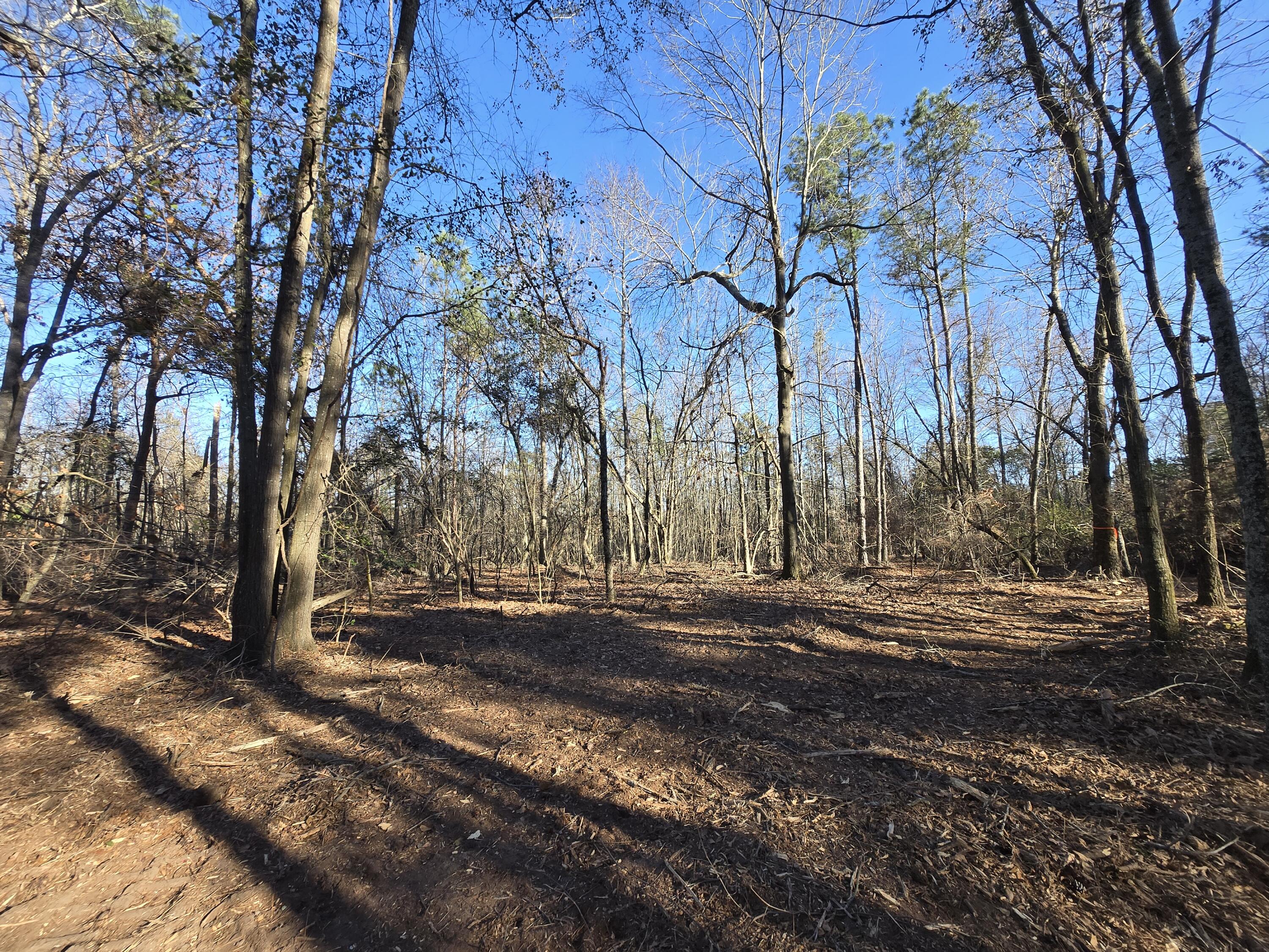 Homes for sale in Beech Island, SC | 20A Atomic Ln, Beech Island, SC 29842 | MLS# 551743