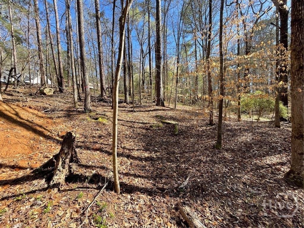 Lot 62 Warbler Lane, Monticello, GA, 31064