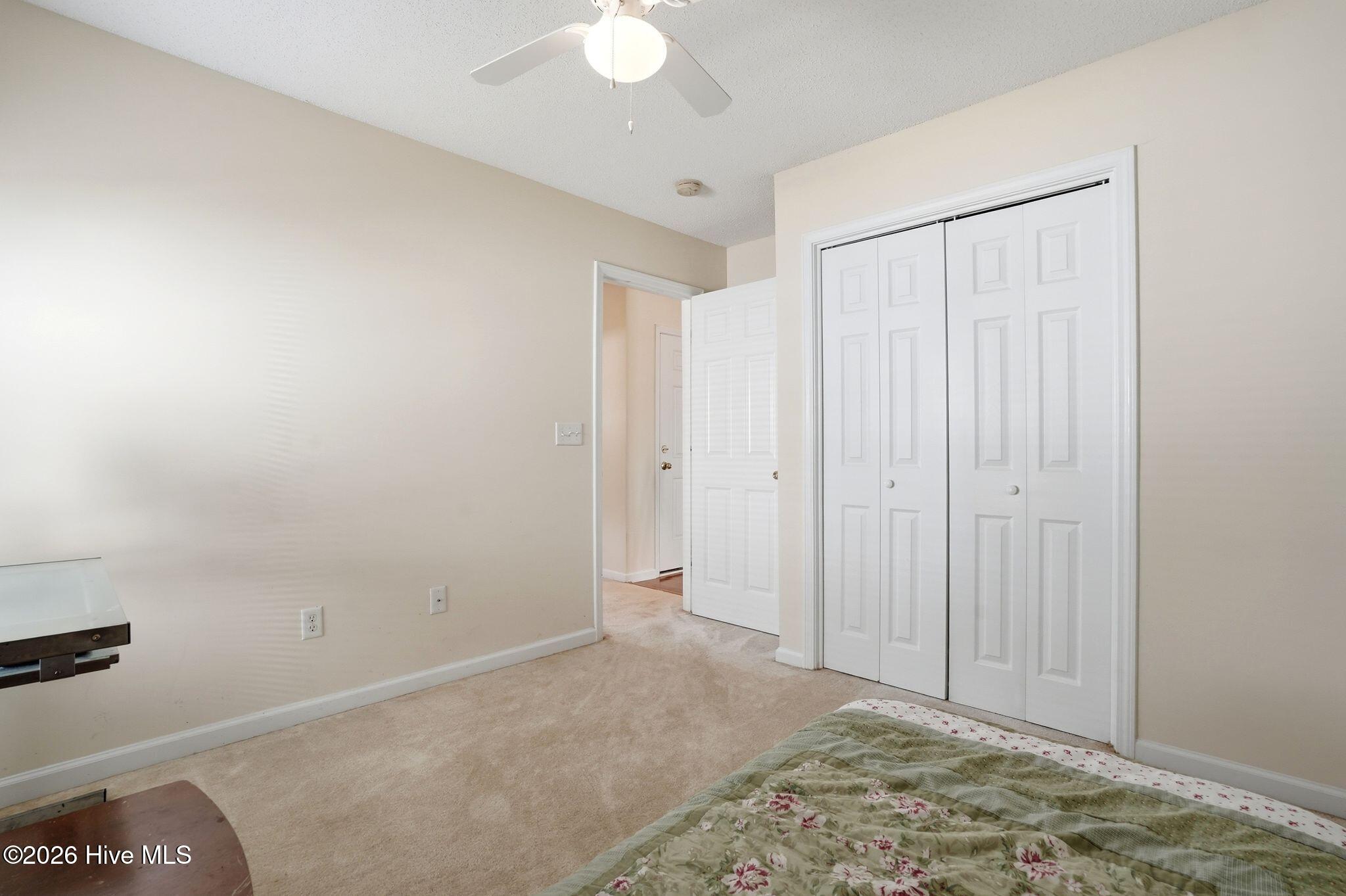 100560639 | Photo 33