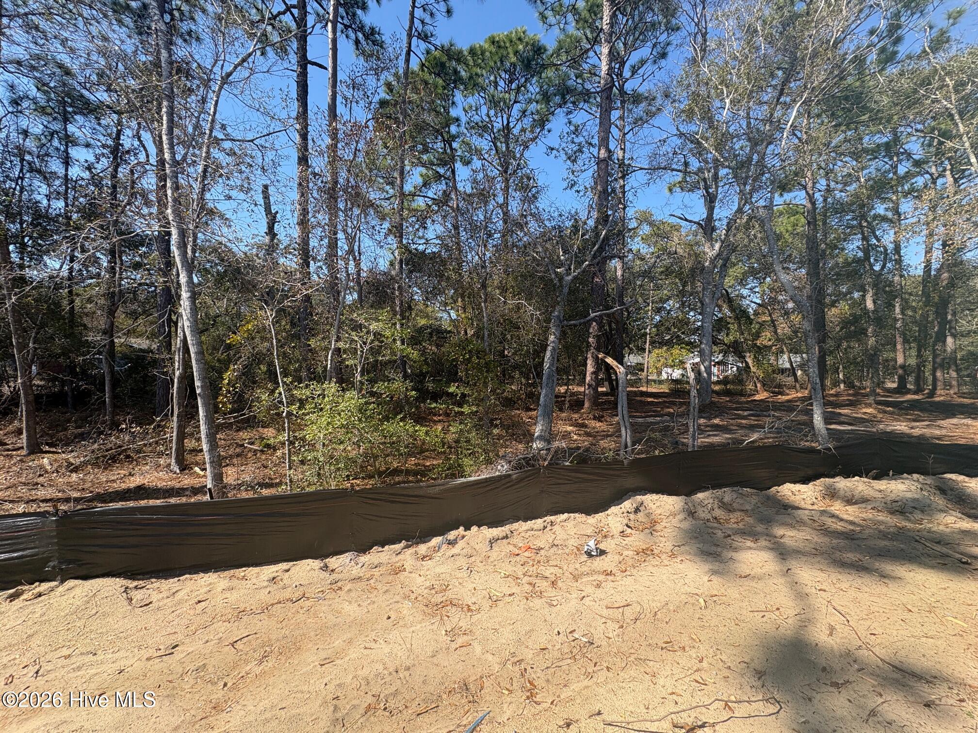 100553616 | Photo 22