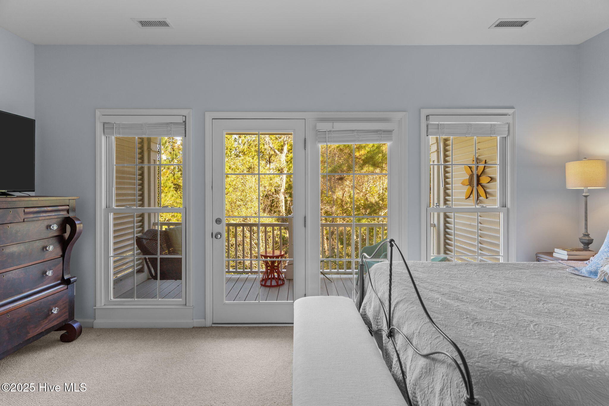 100539989 | Photo 29