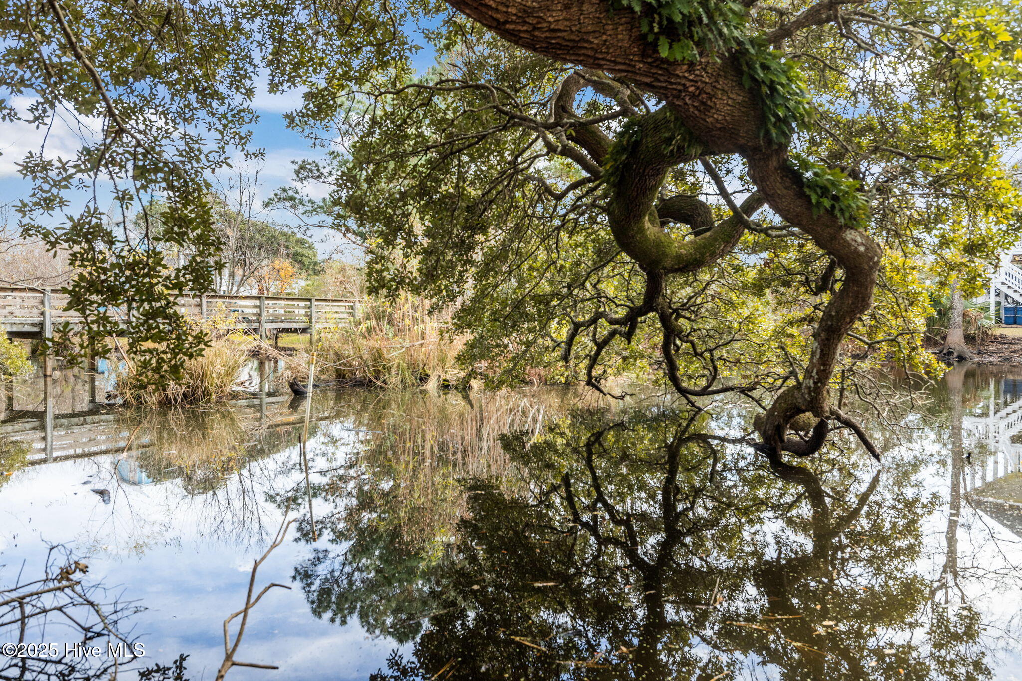 100555260 | Photo 72