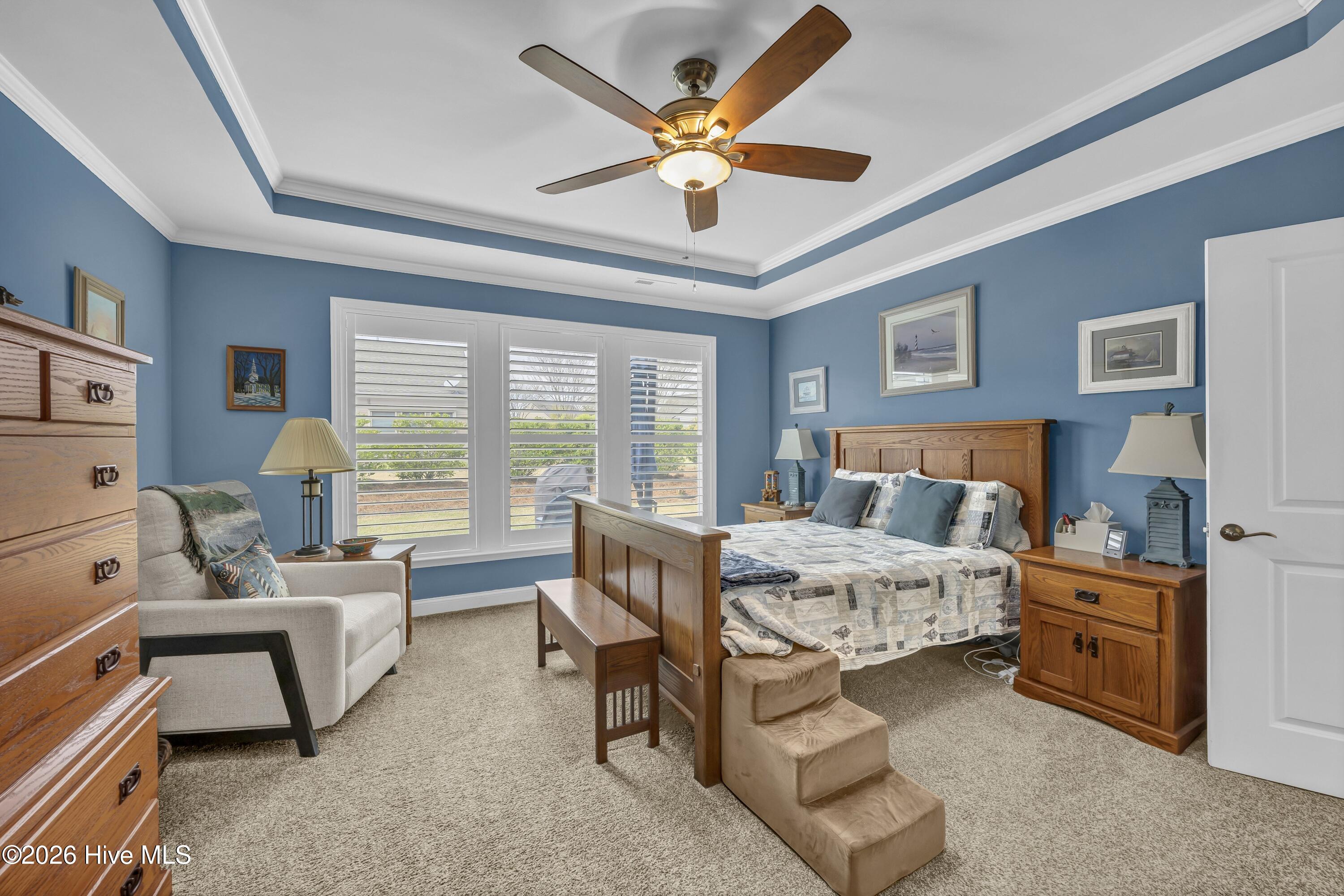 100562061 | Photo 14