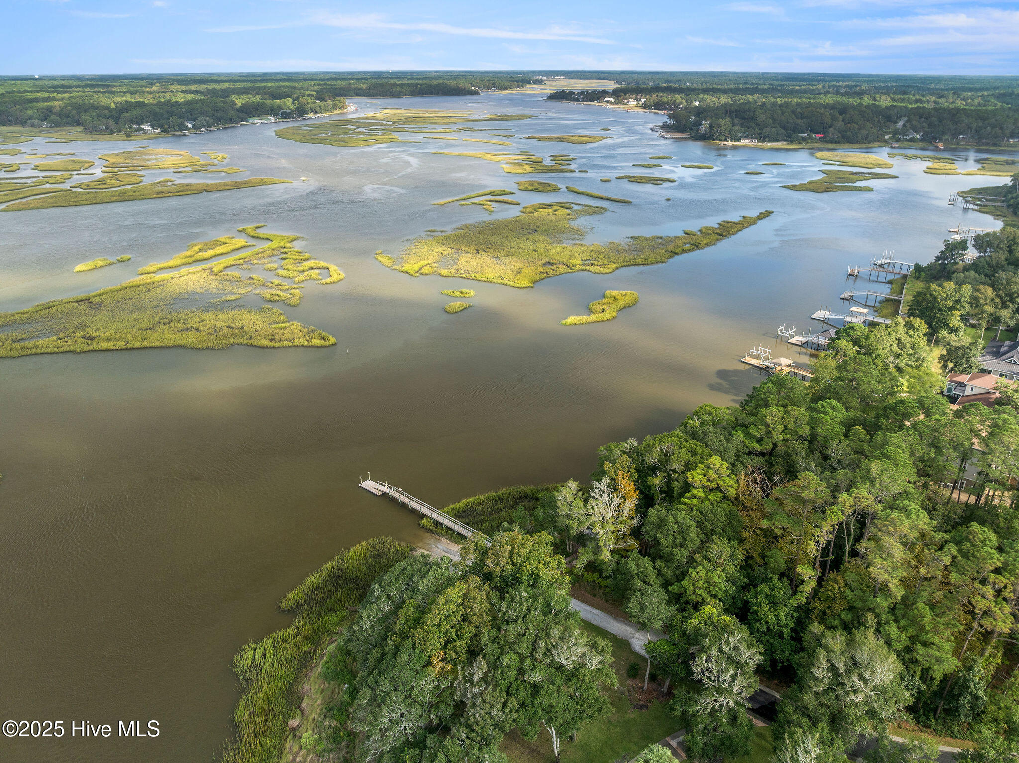 100488997 | Photo 94