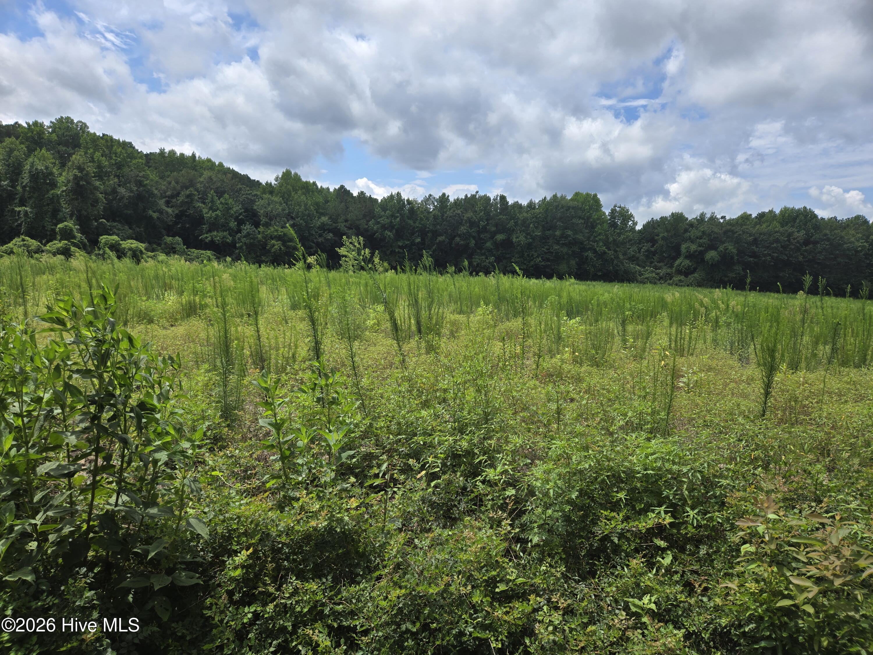 17th image of 0 Ballard Rd, Williamston, NC 27892 | MLS# 100593404