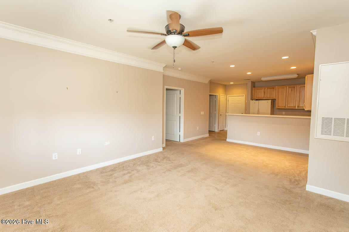 100564838 | Photo 17