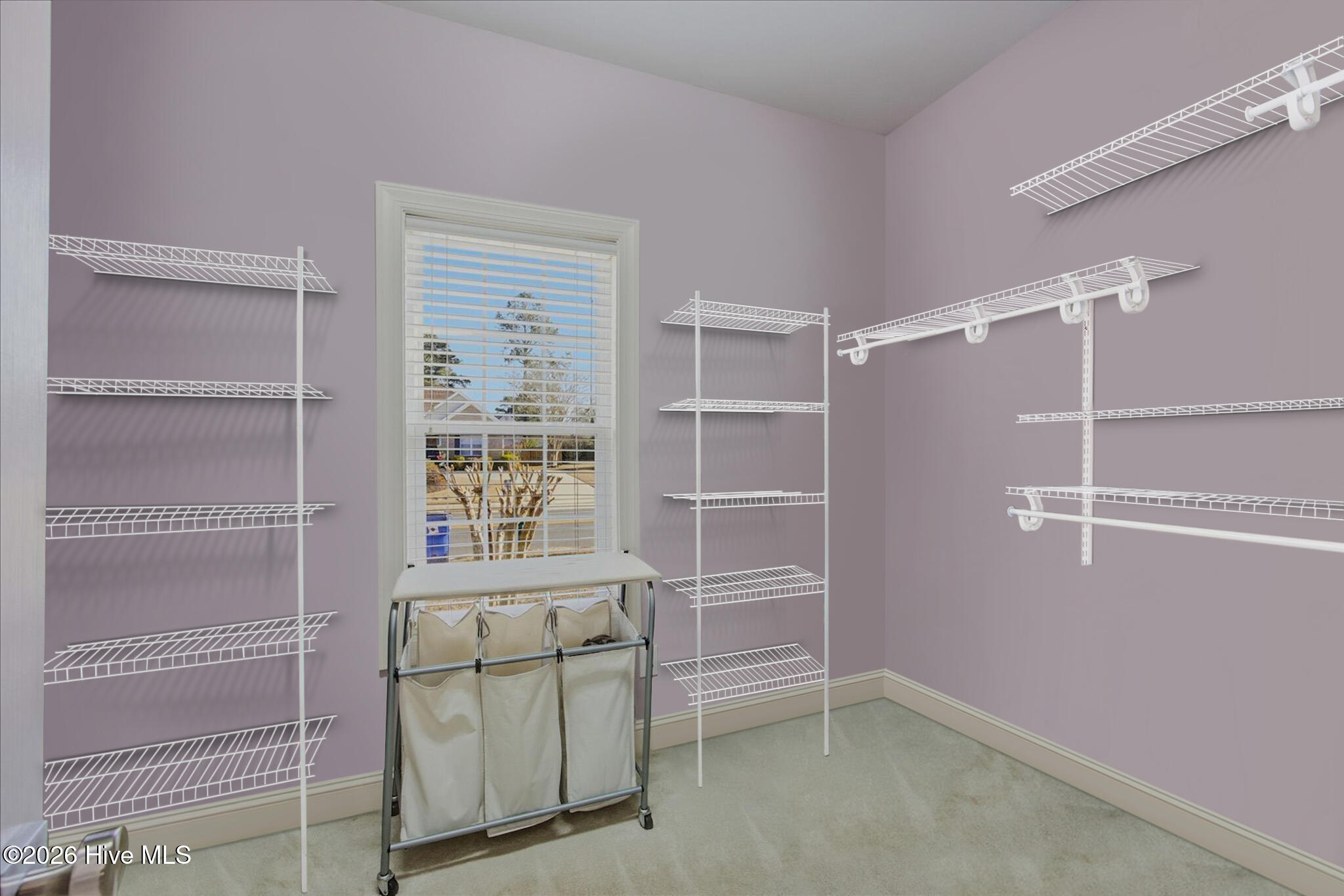 100554989 | Photo 25