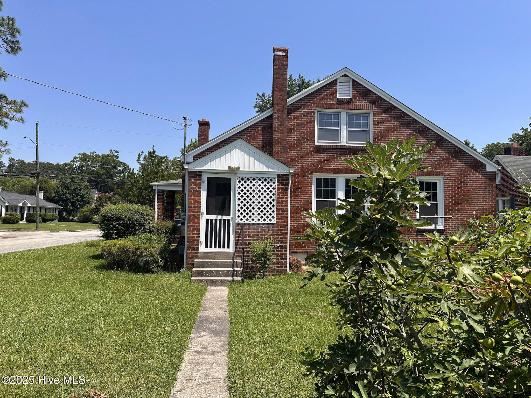 100515338 | Photo 19